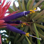 Metabolites 12 00628 i007 Metabolites 12 00628 i007