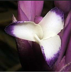 Metabolites 12 00628 i010 Metabolites 12 00628 i010