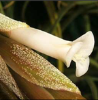 Metabolites 12 00628 i011 Metabolites 12 00628 i011