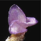 Metabolites 12 00628 i014 Metabolites 12 00628 i014