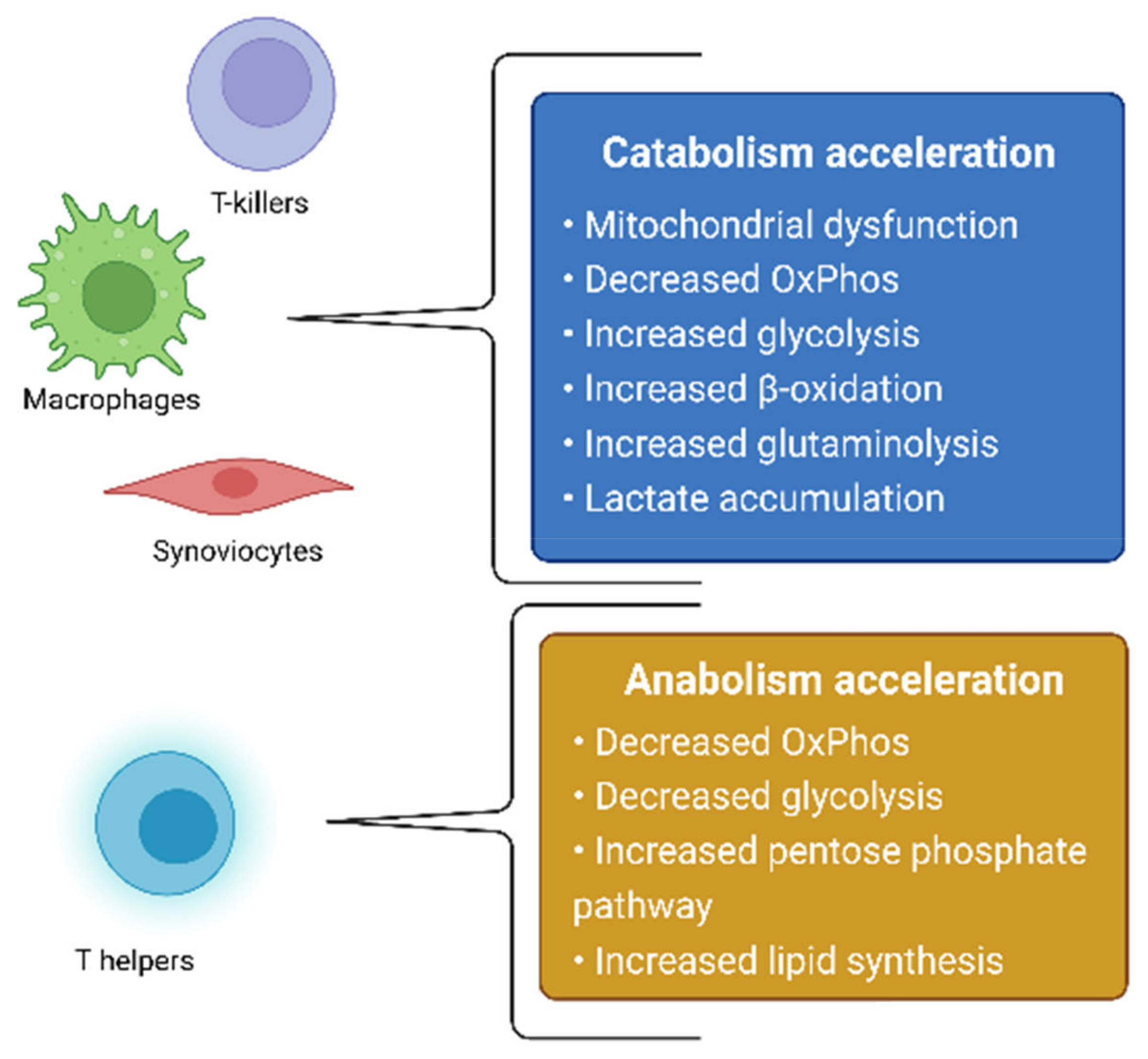 Metabolites 12 00634 g001