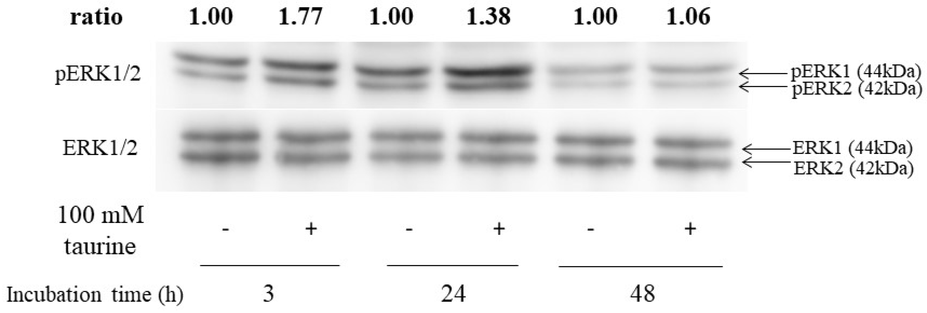 Metabolites 12 00636 g010 Metabolites 12 00636 g010