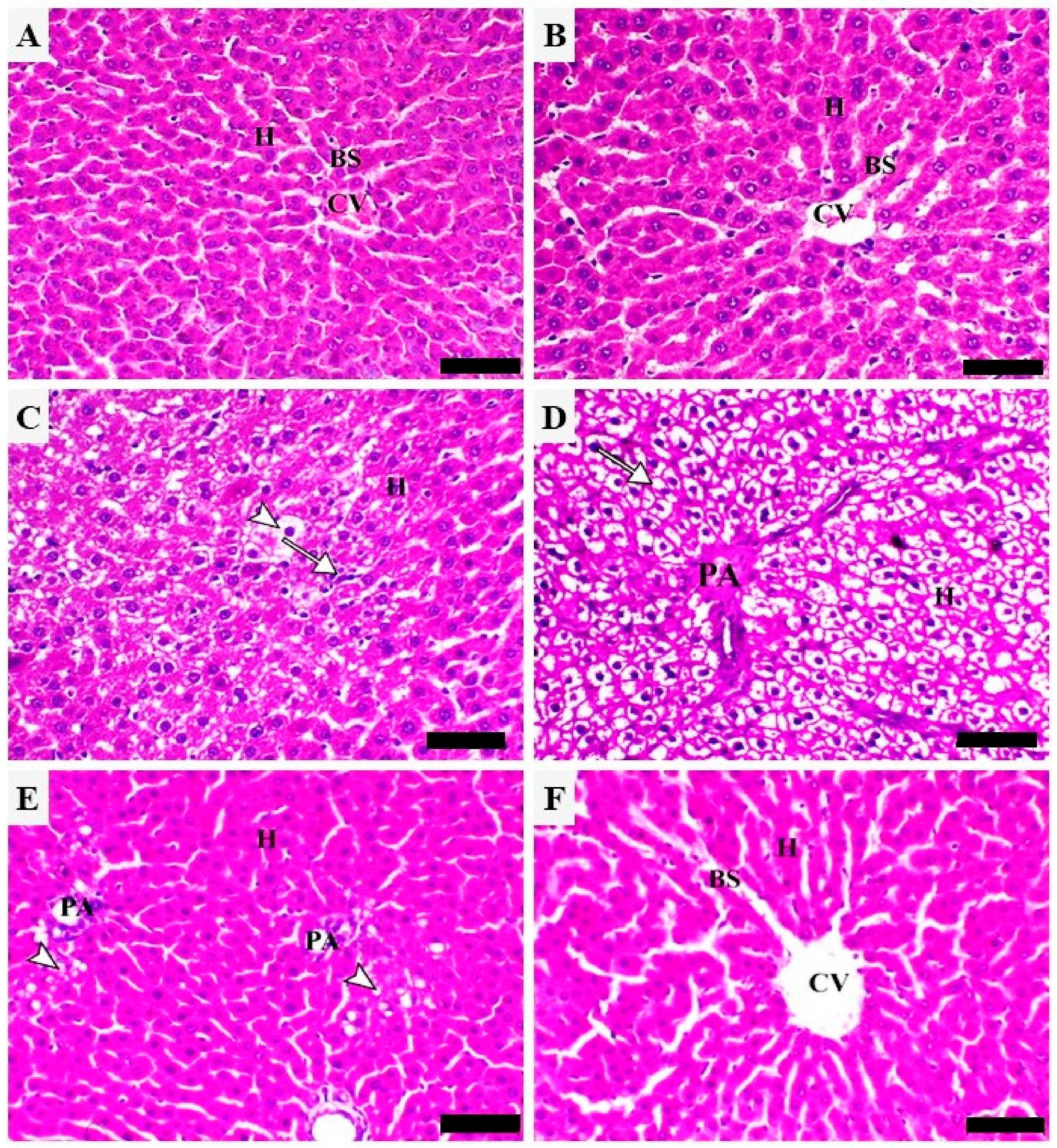 Metabolites 12 00648 g003