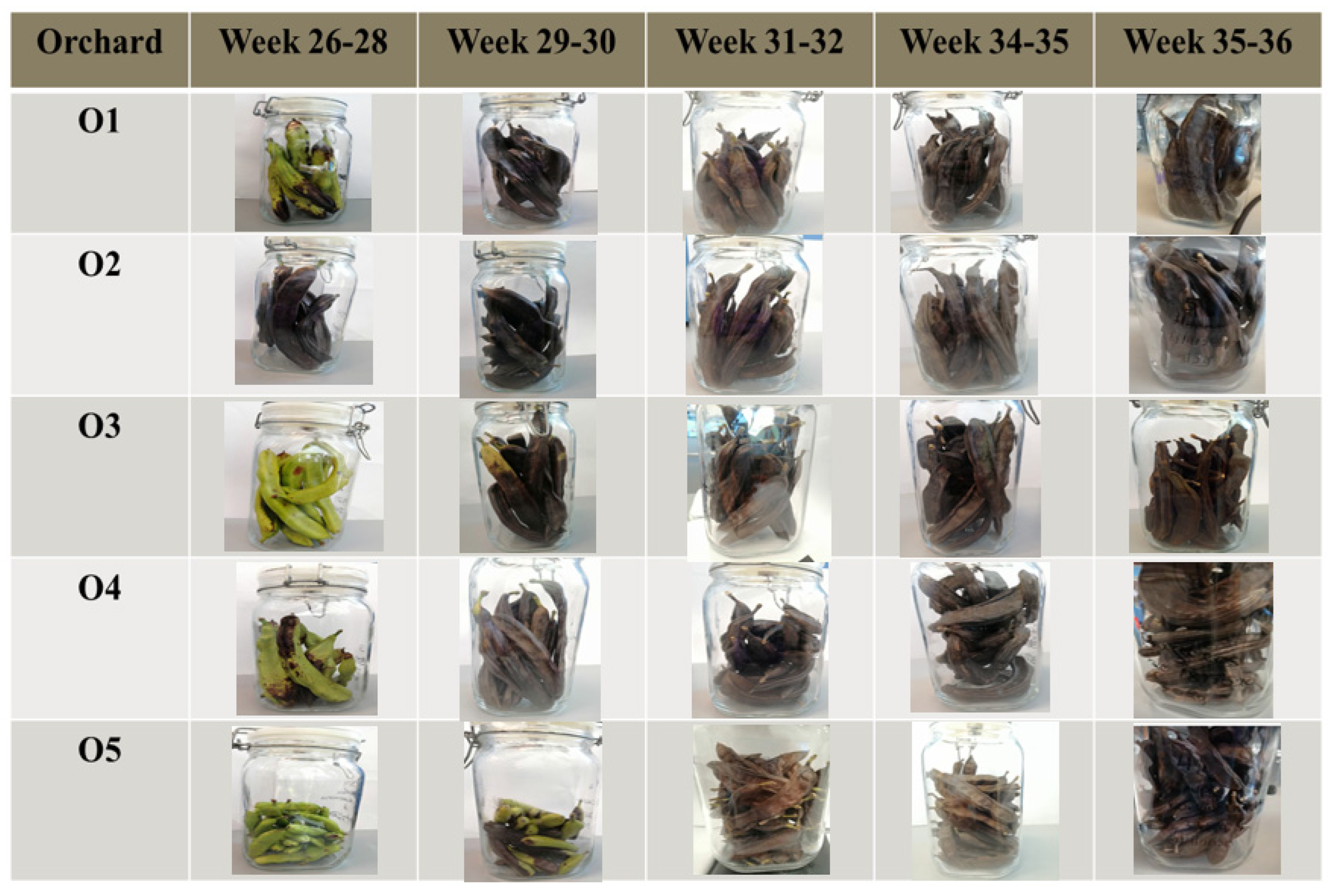Metabolites 12 00656 g001