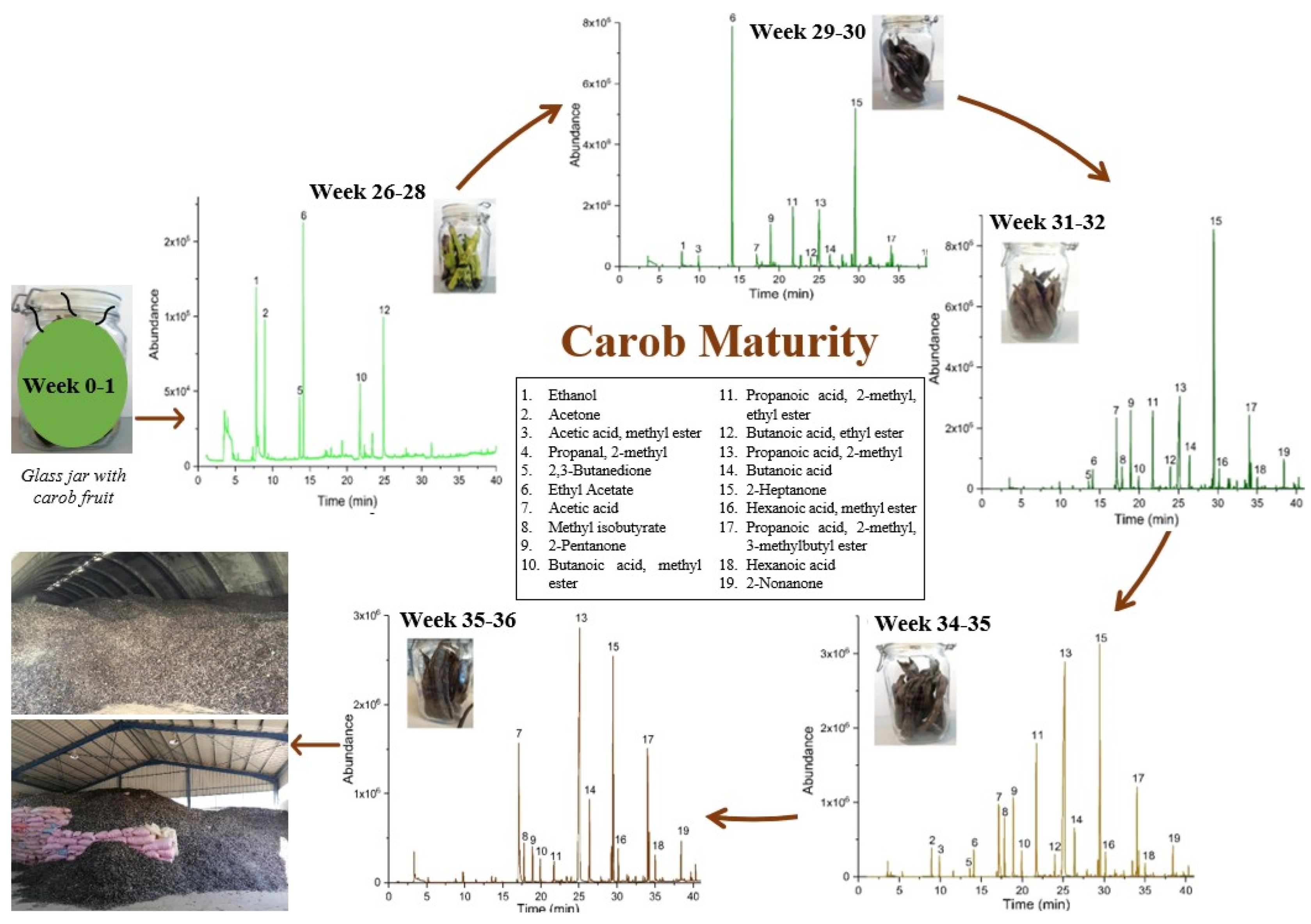 Metabolites 12 00656 g004