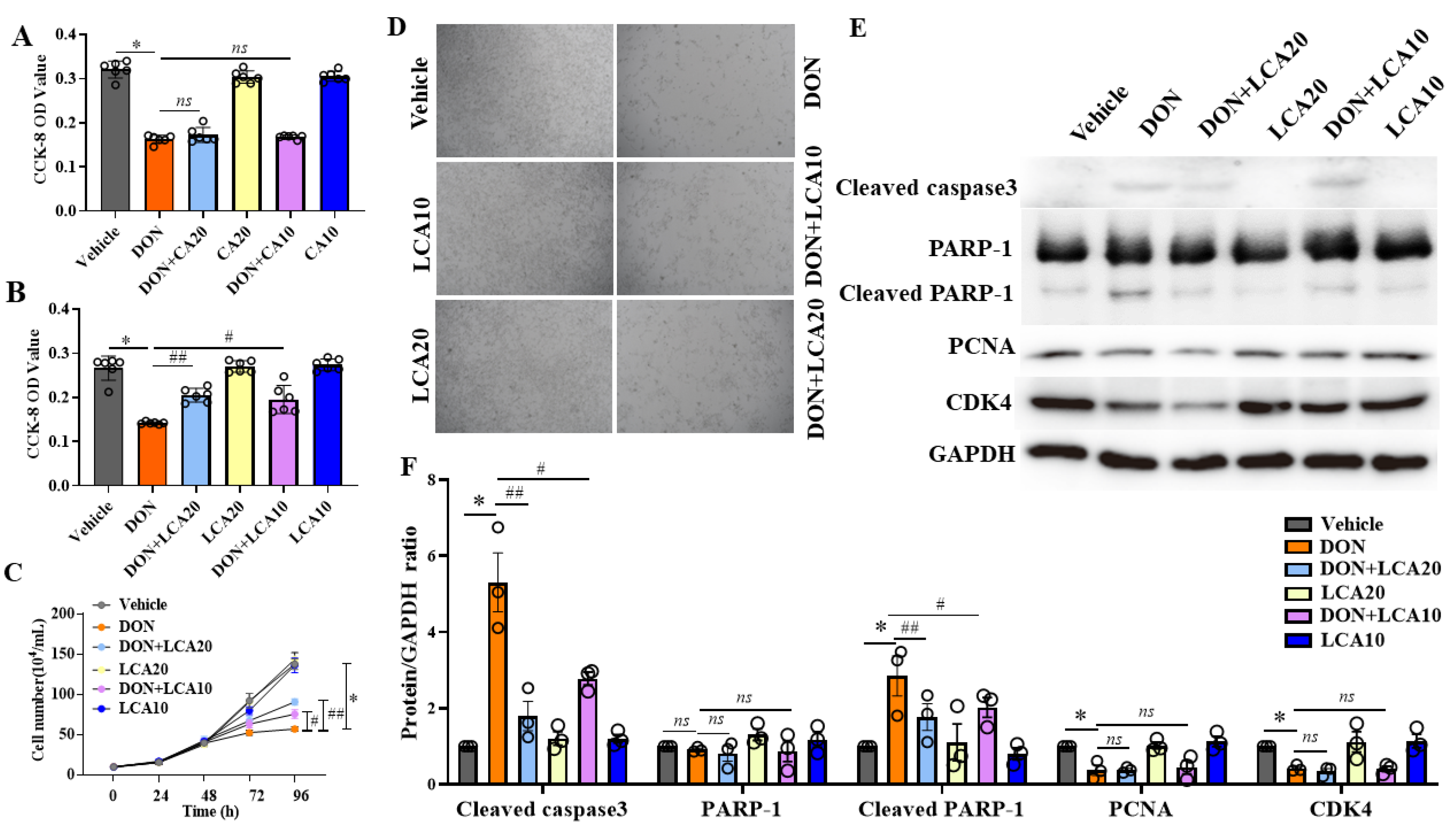 Metabolites 12 00659 g001