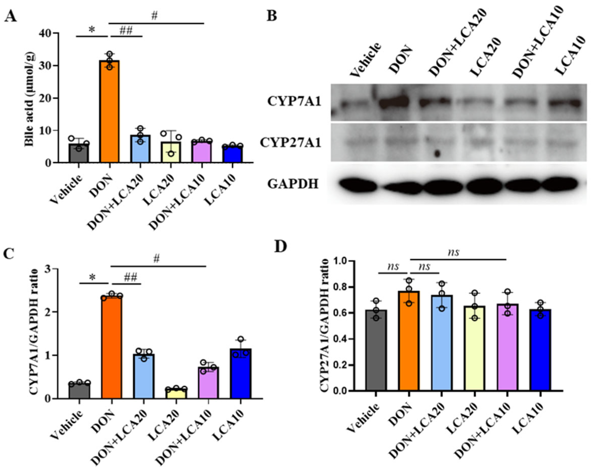 Metabolites 12 00659 g004