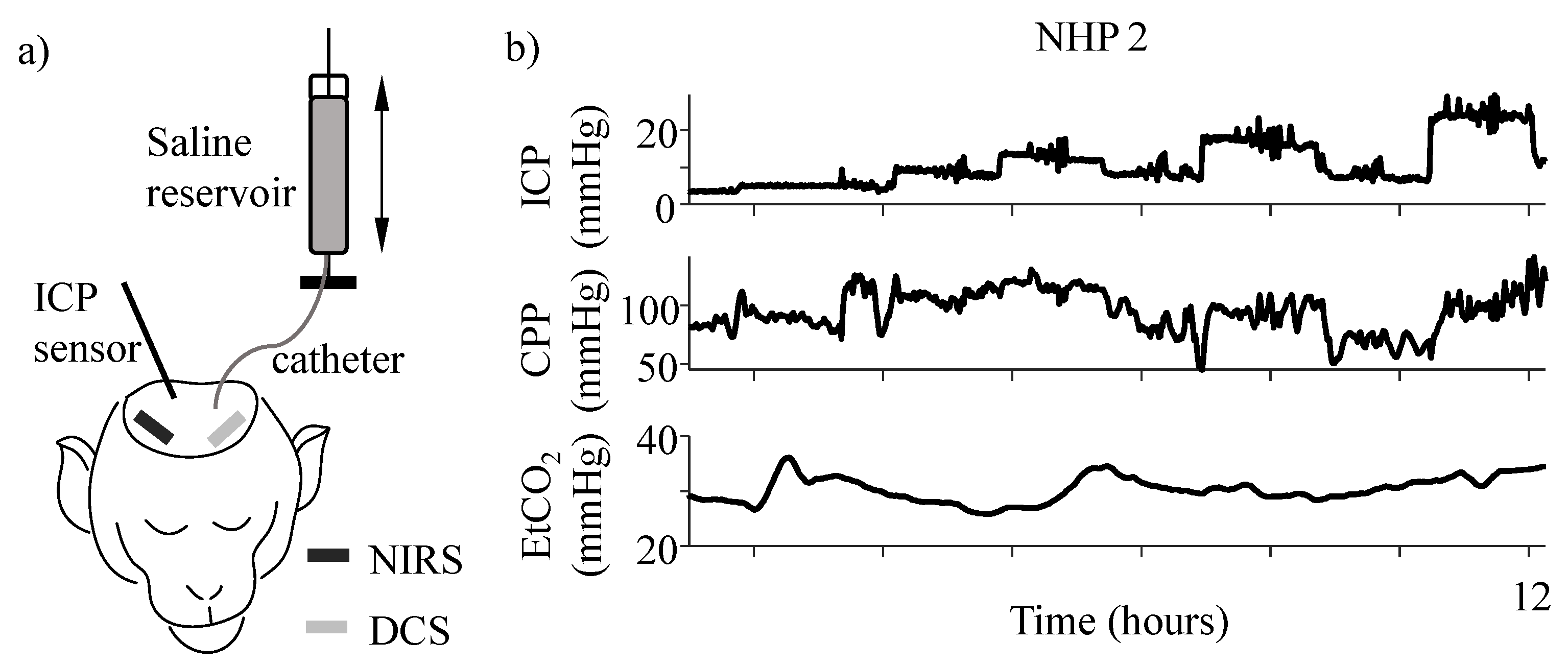 Metabolites 12 00667 g001