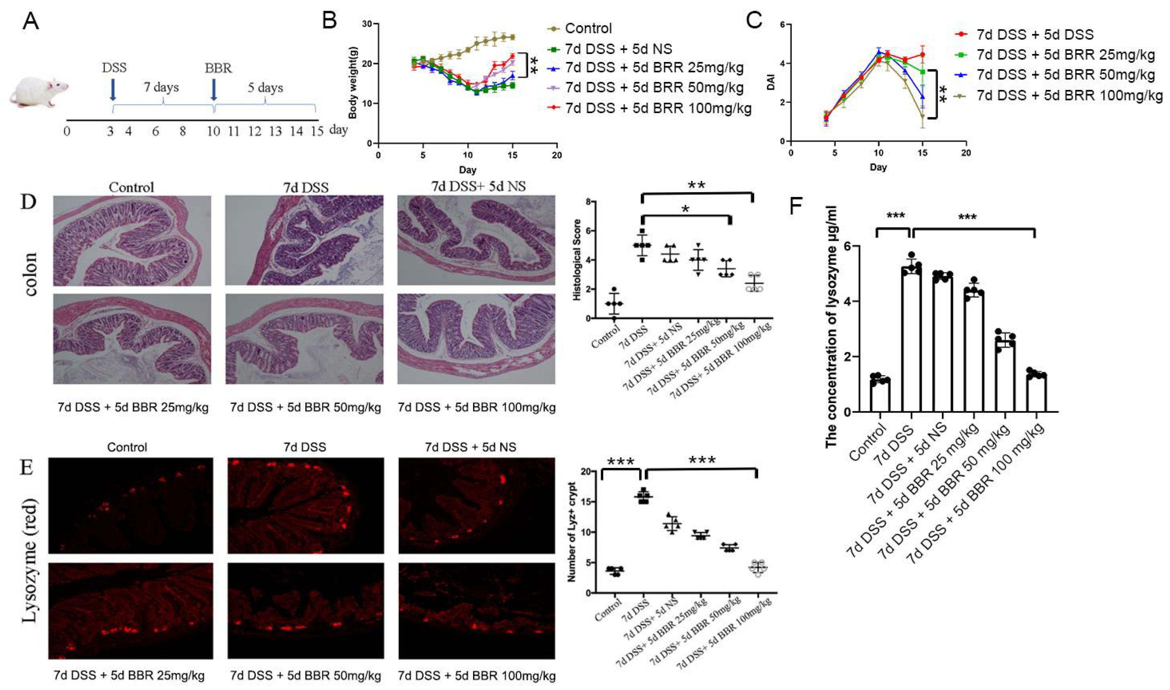 Metabolites 12 00676 g001 Metabolites 12 00676 g001