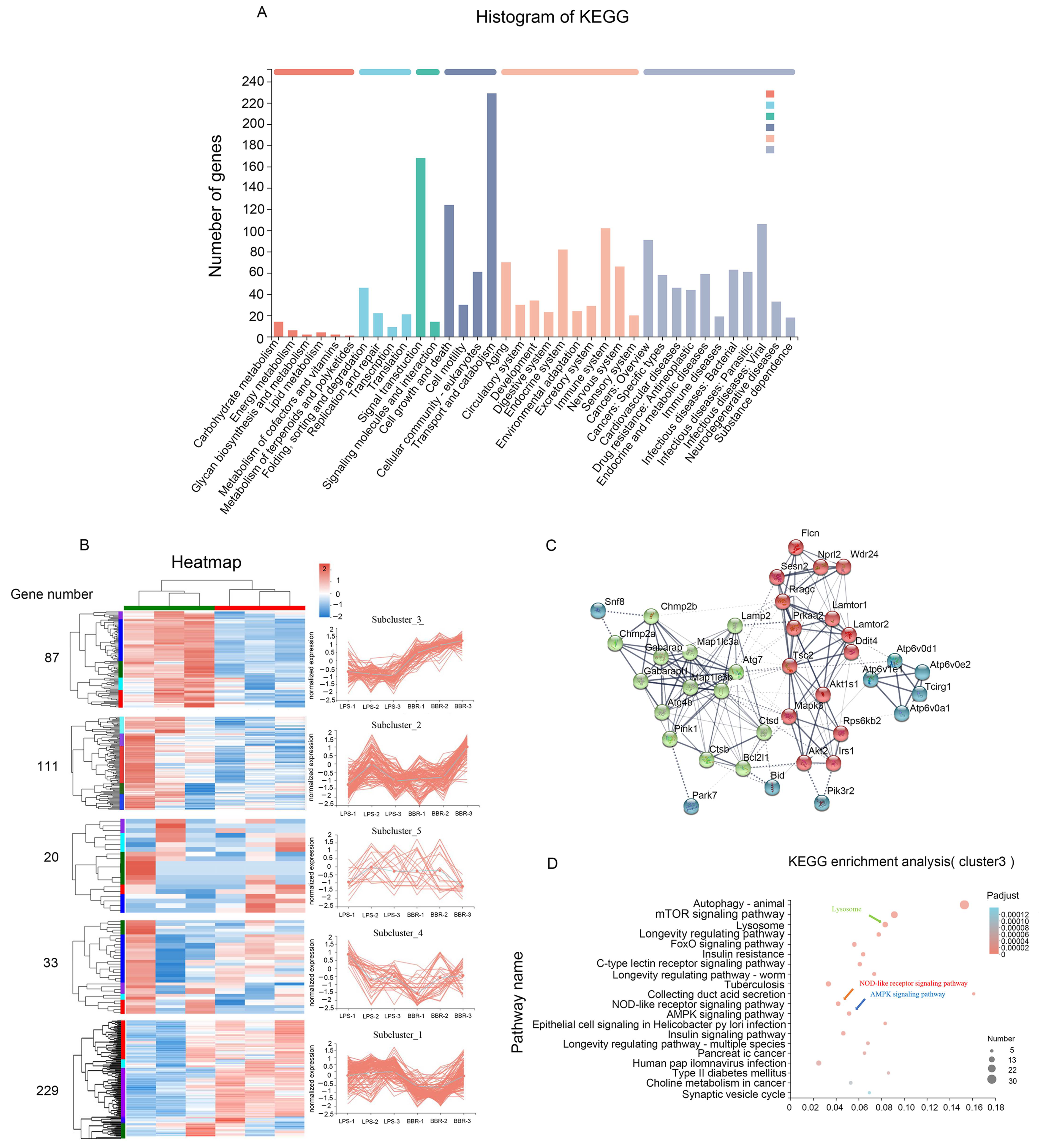 Metabolites 12 00676 g002 Metabolites 12 00676 g002