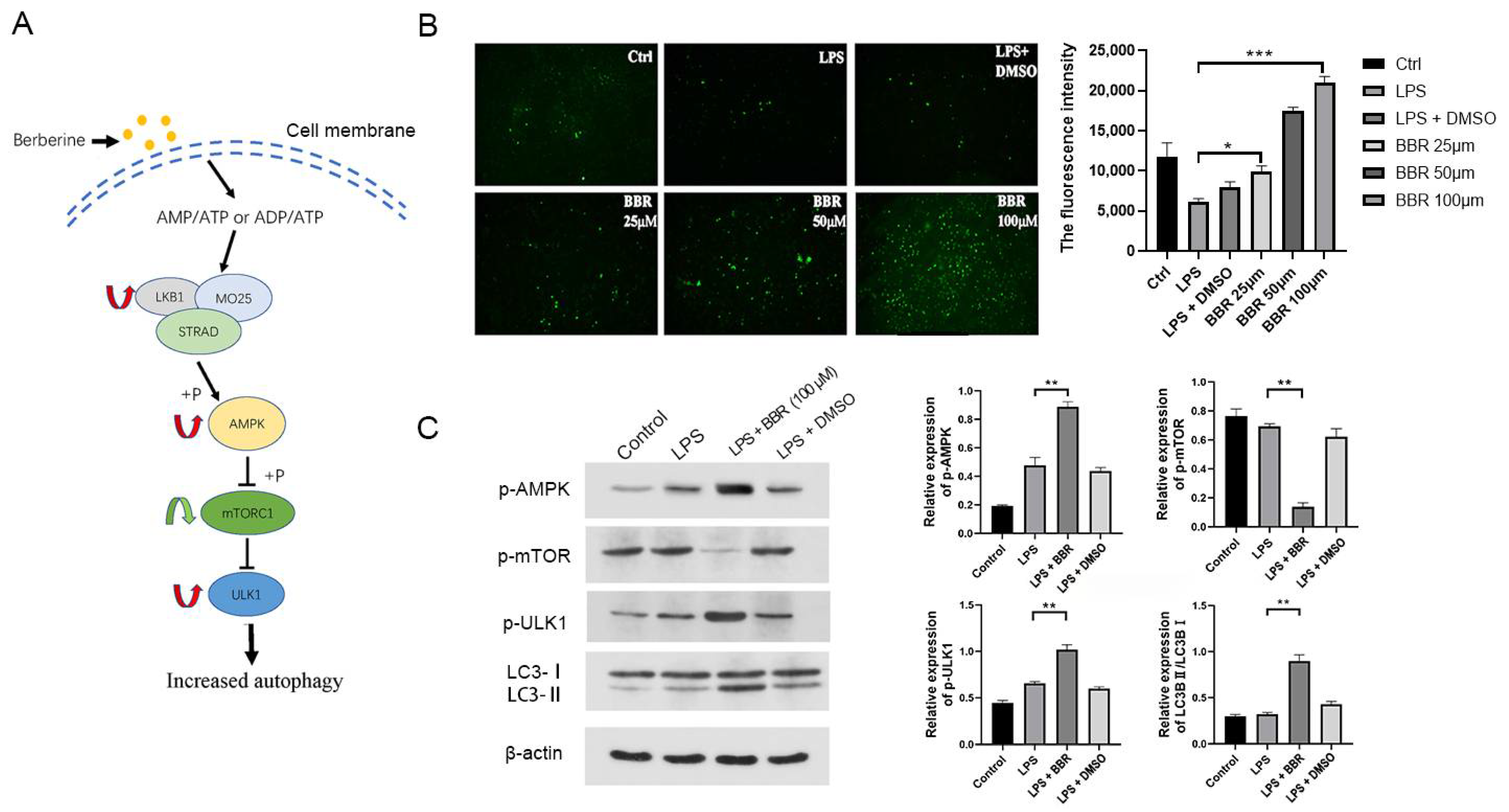 Metabolites 12 00676 g003 Metabolites 12 00676 g003