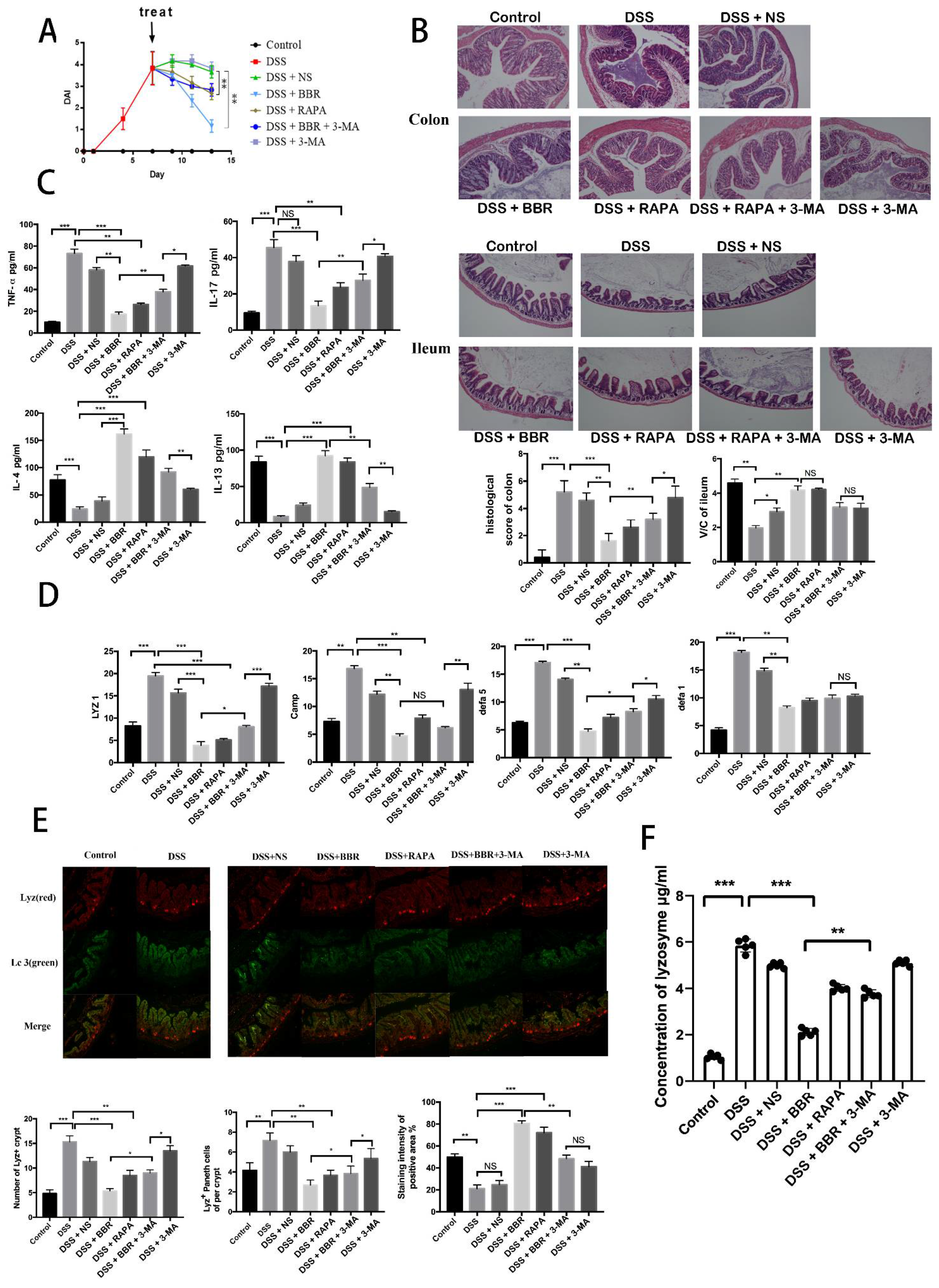 Metabolites 12 00676 g004 Metabolites 12 00676 g004
