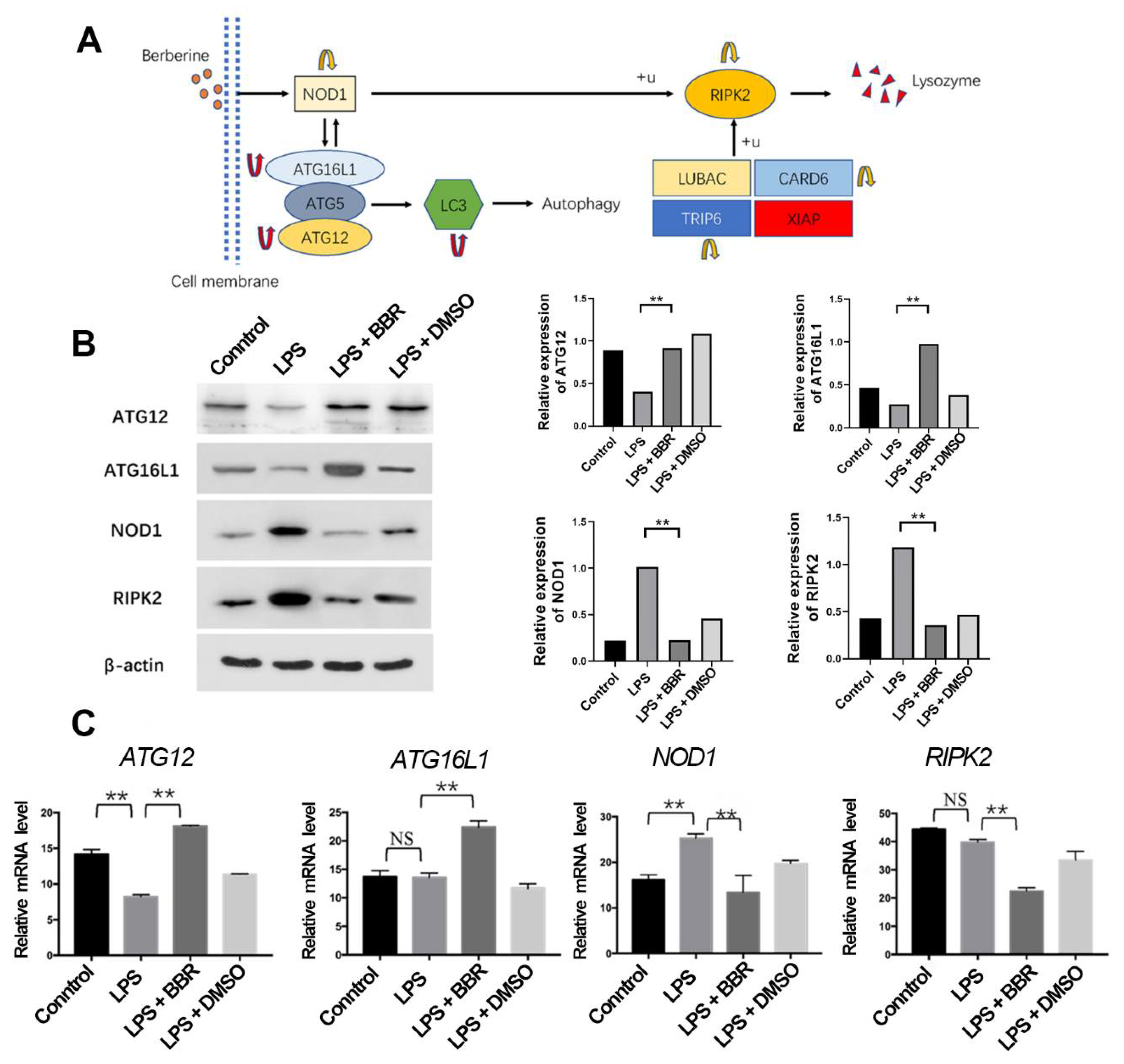 Metabolites 12 00676 g006 Metabolites 12 00676 g006