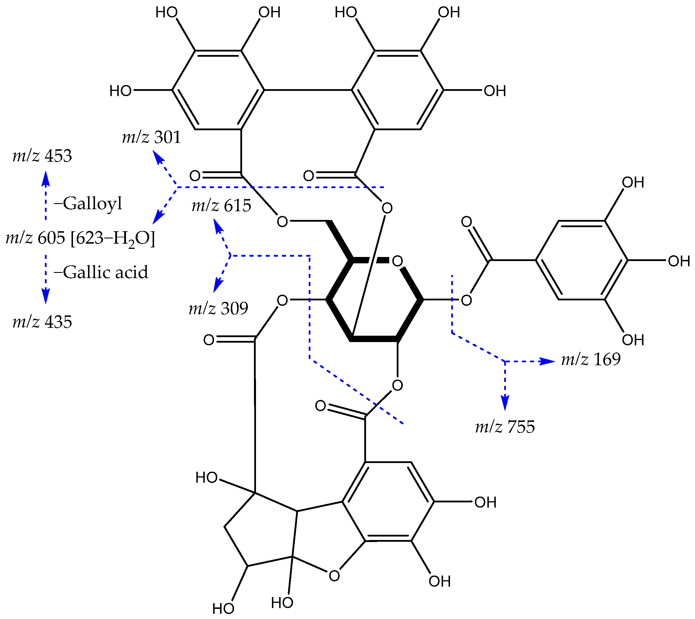 Metabolites 12 00681 g002
