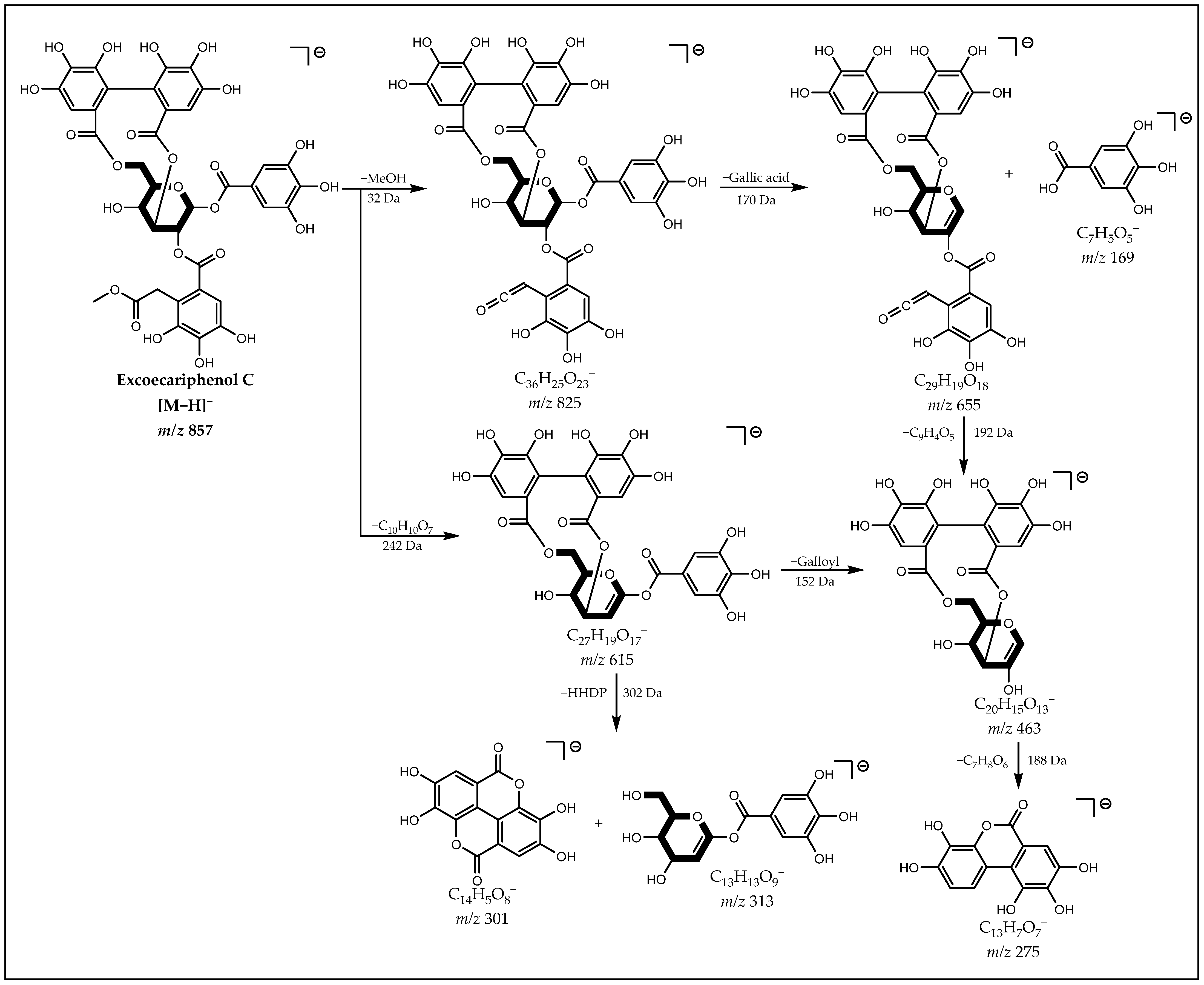 Metabolites 12 00681 g004