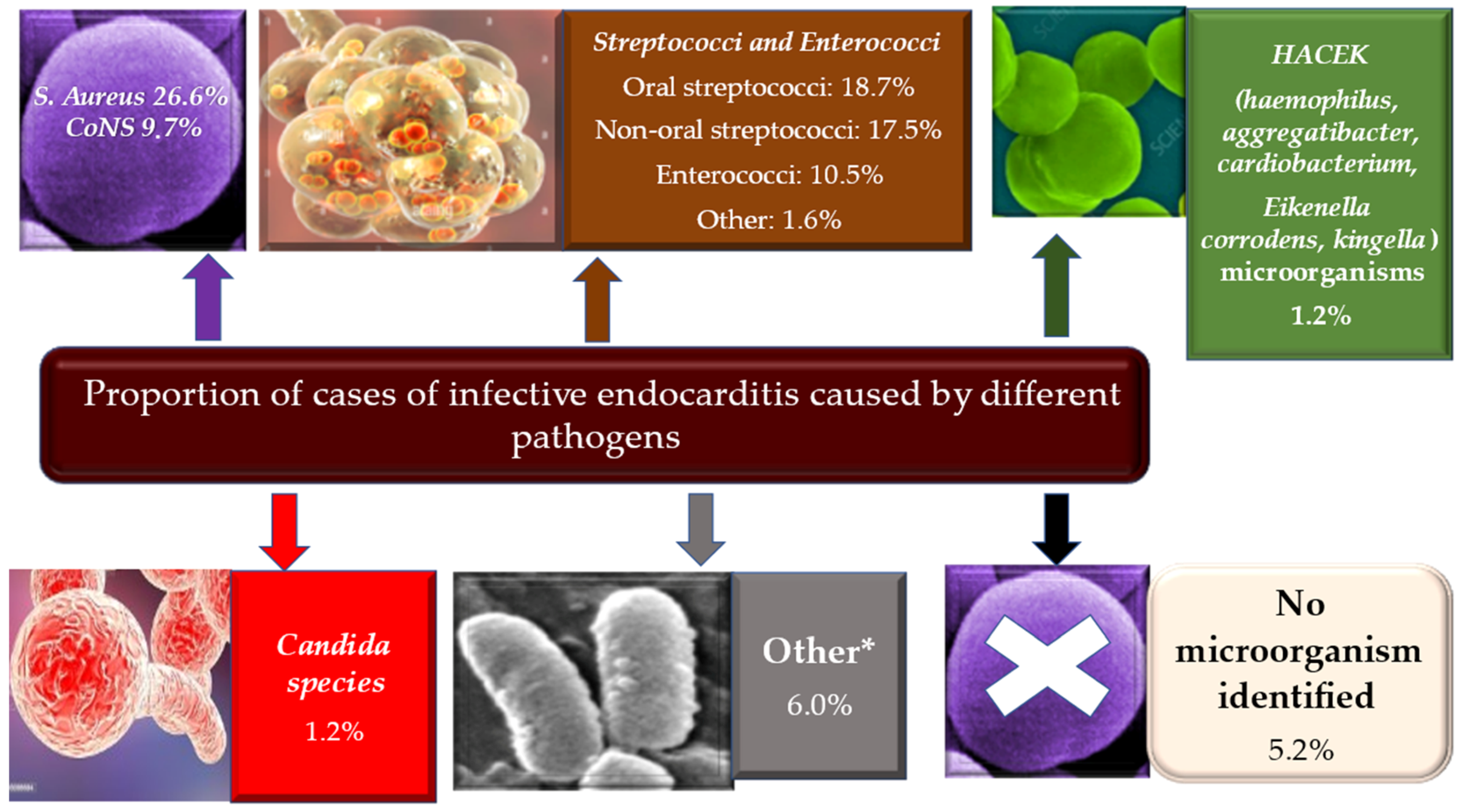 Metabolites 12 00682 g004
