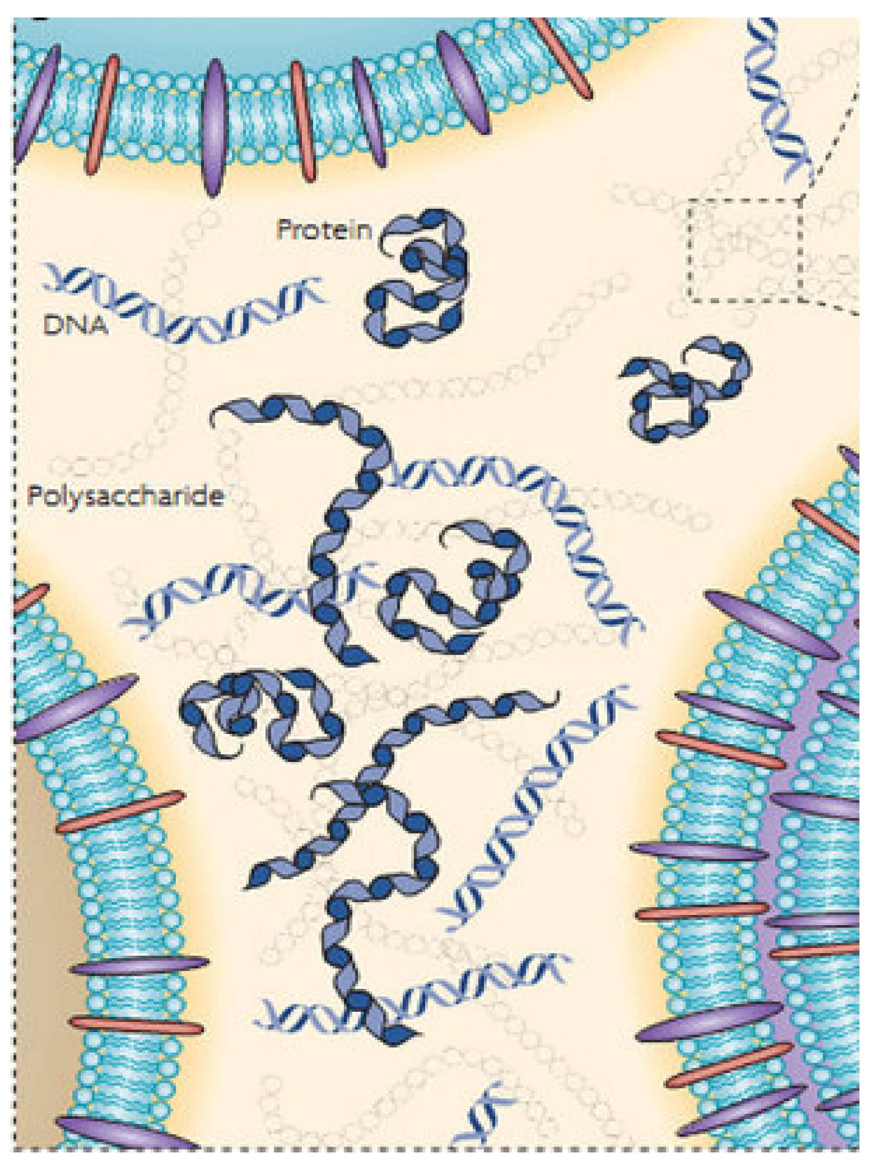 Metabolites 12 00682 g005