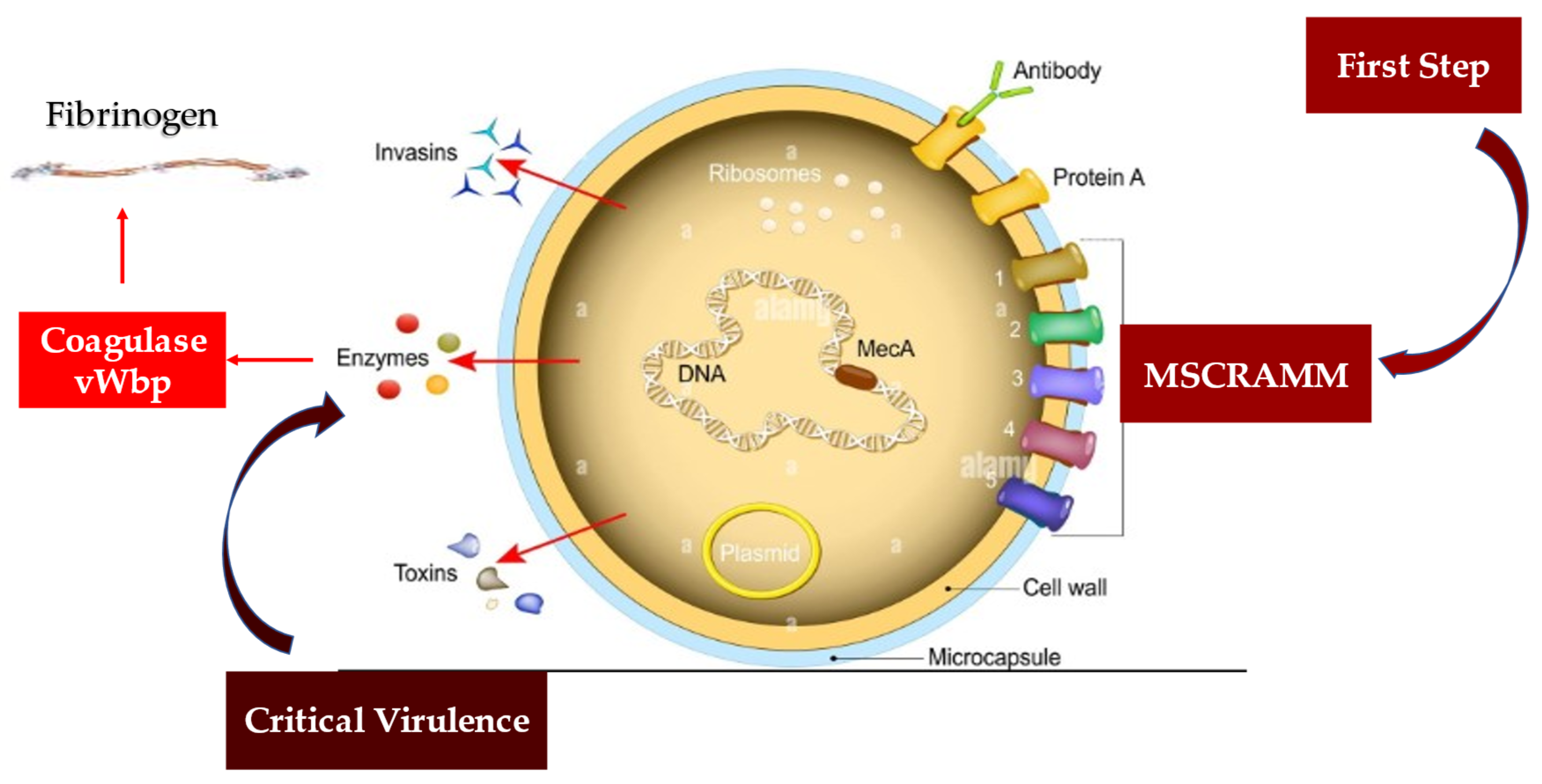 Metabolites 12 00682 g006