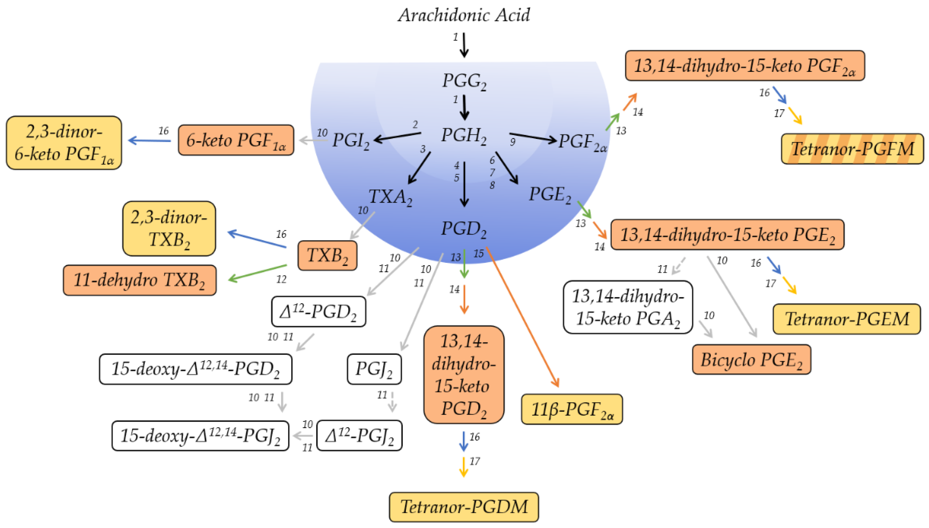 Metabolites 12 00721 g001