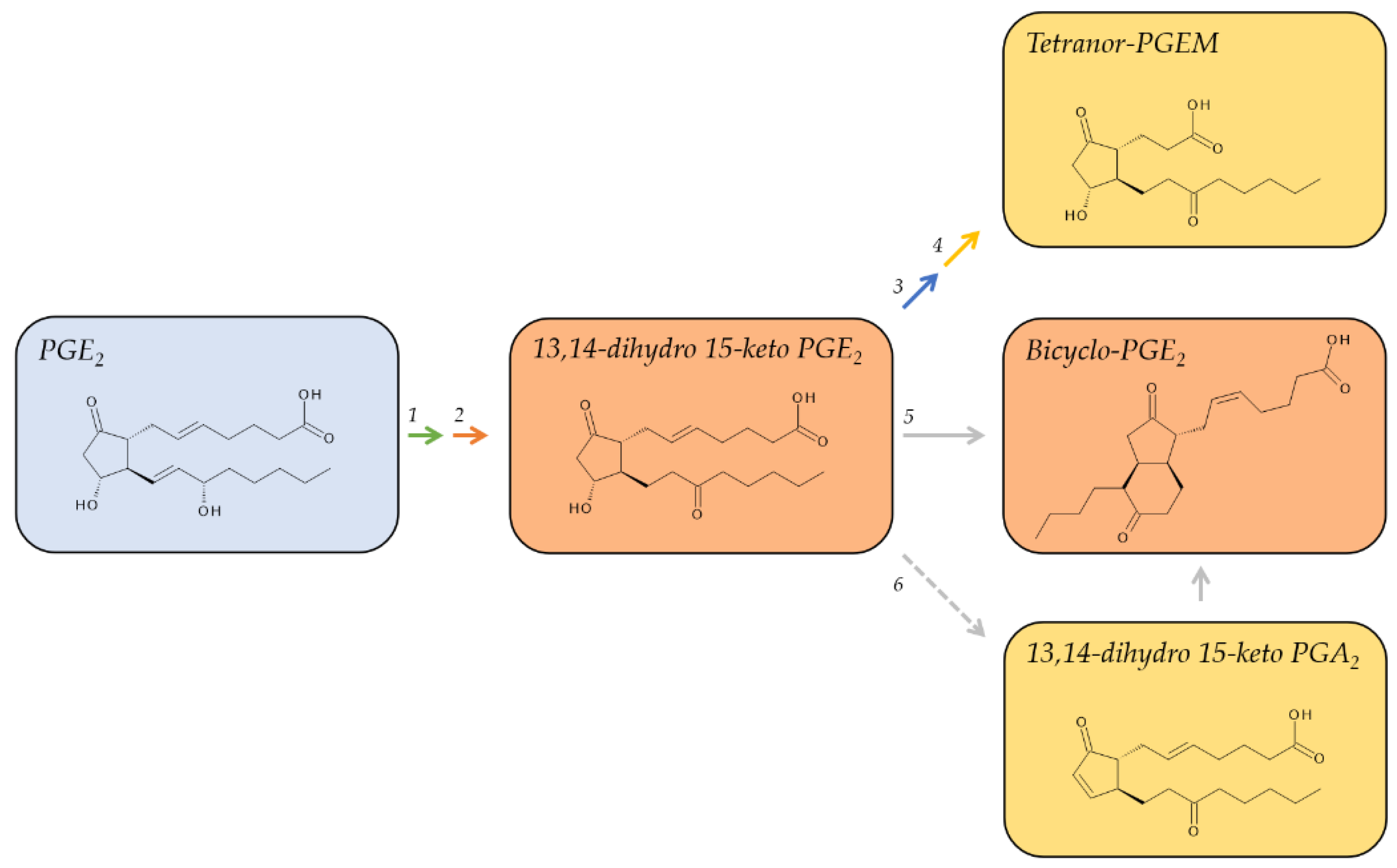 Metabolites 12 00721 g002