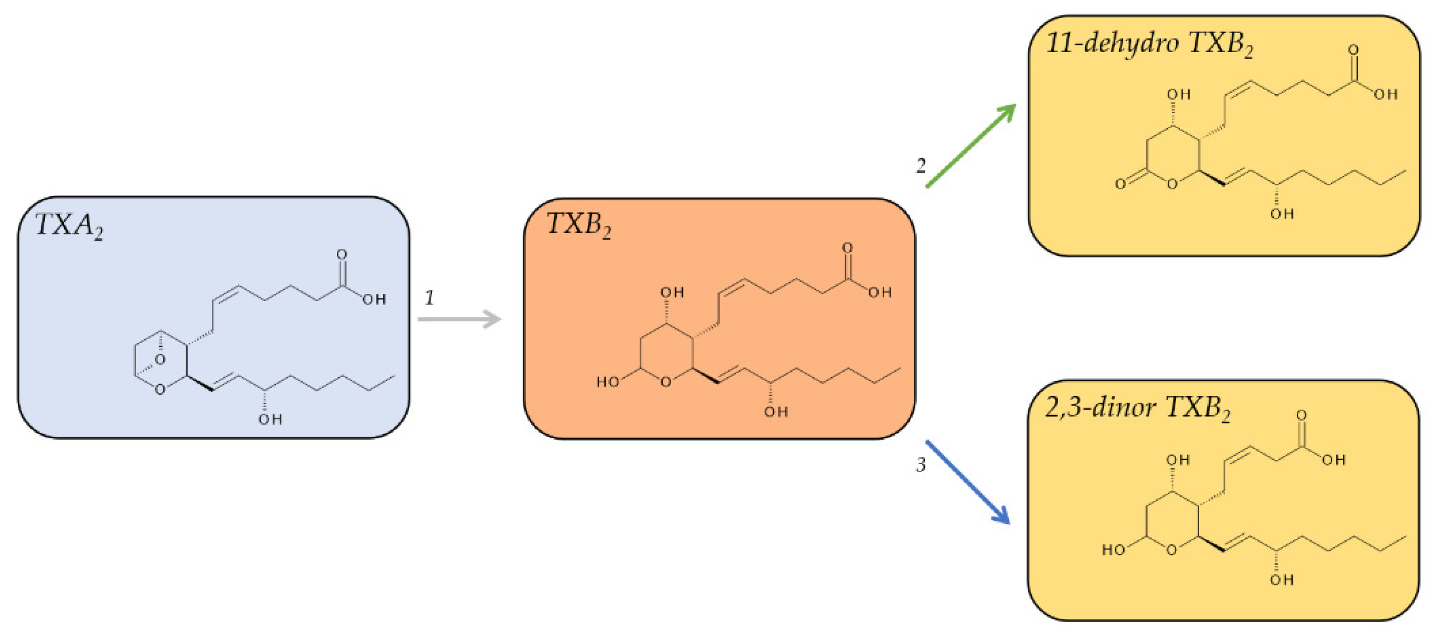 Metabolites 12 00721 g005