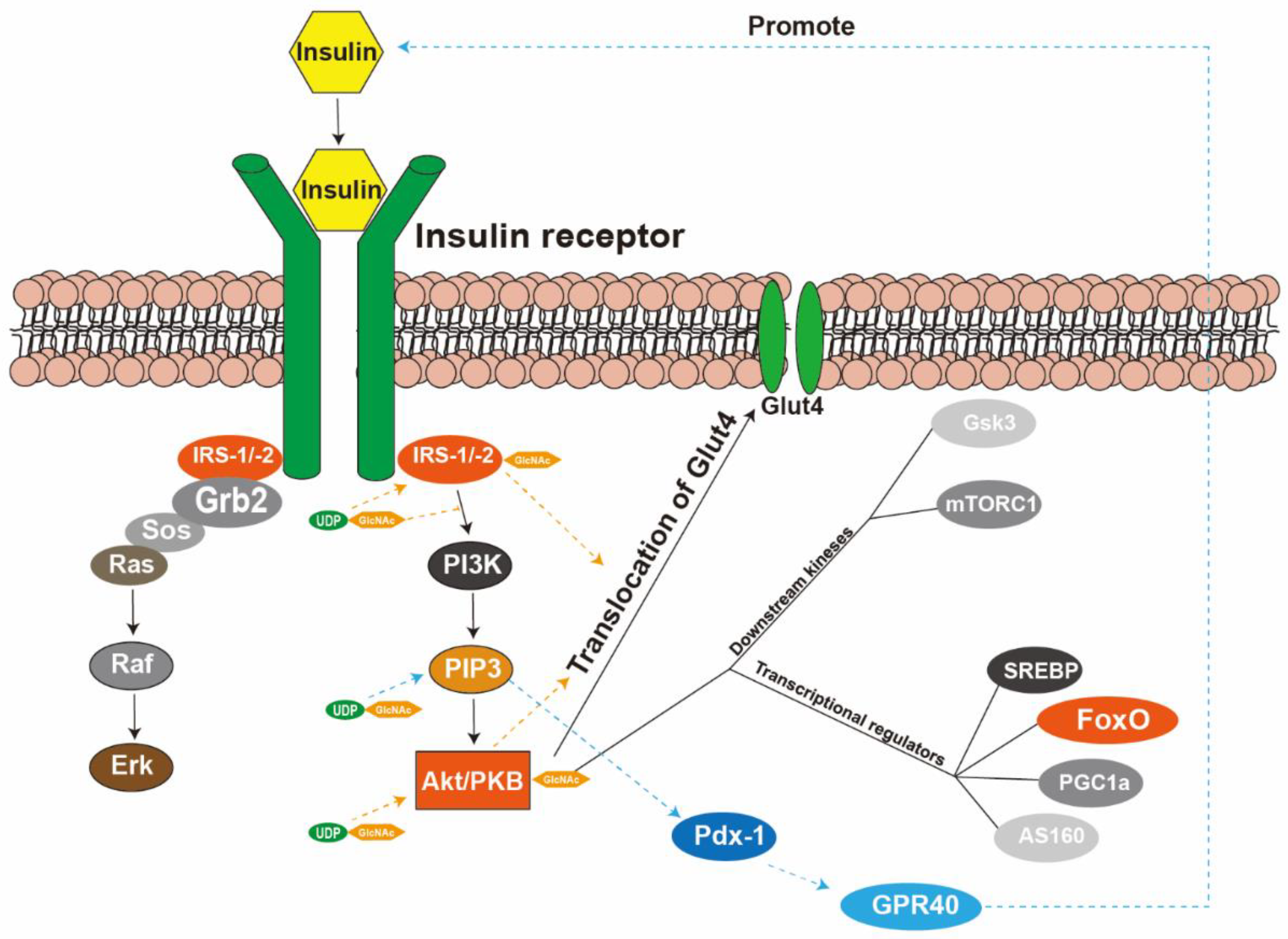 Metabolites 12 00725 g002