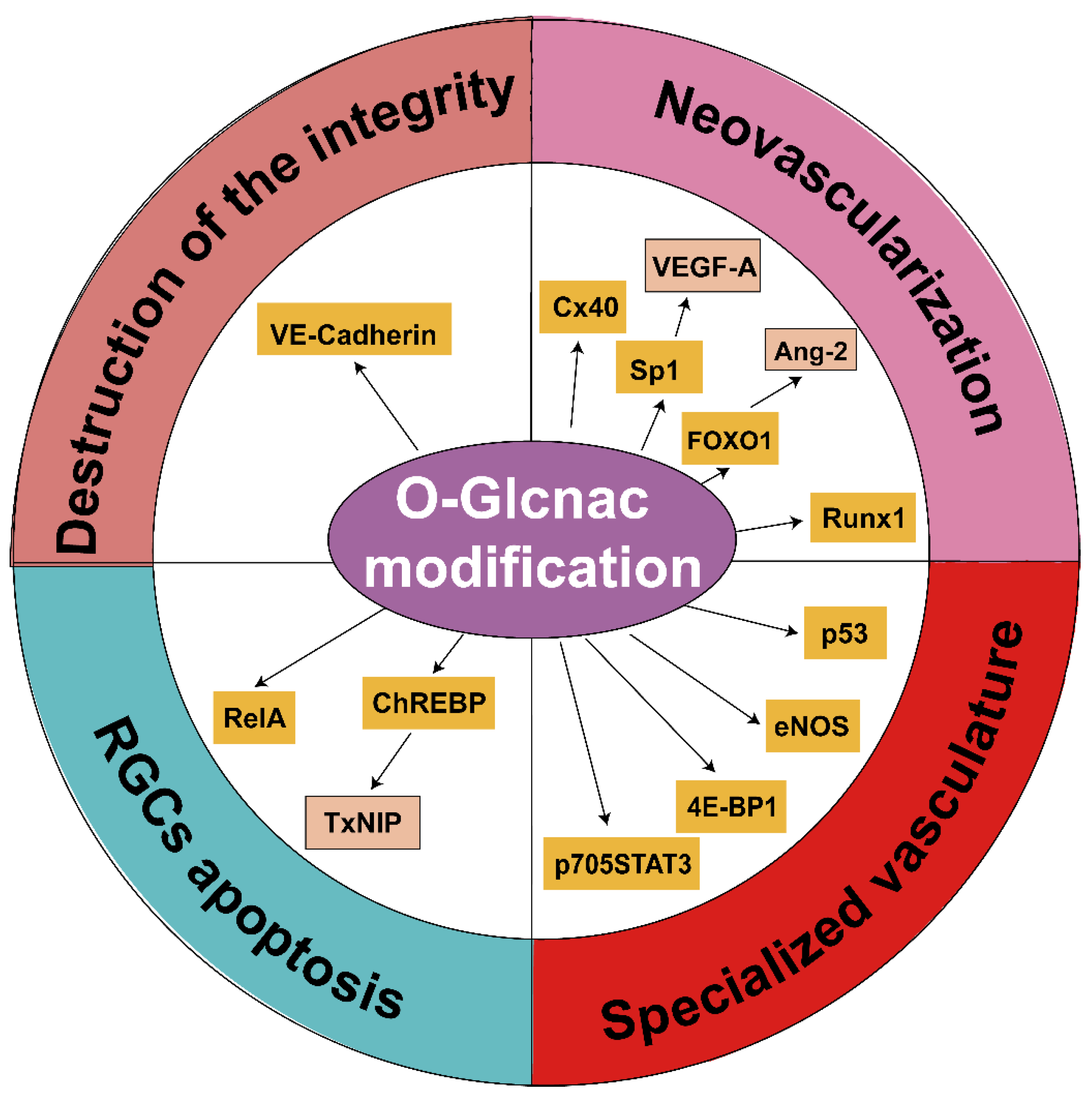 Metabolites 12 00725 g004