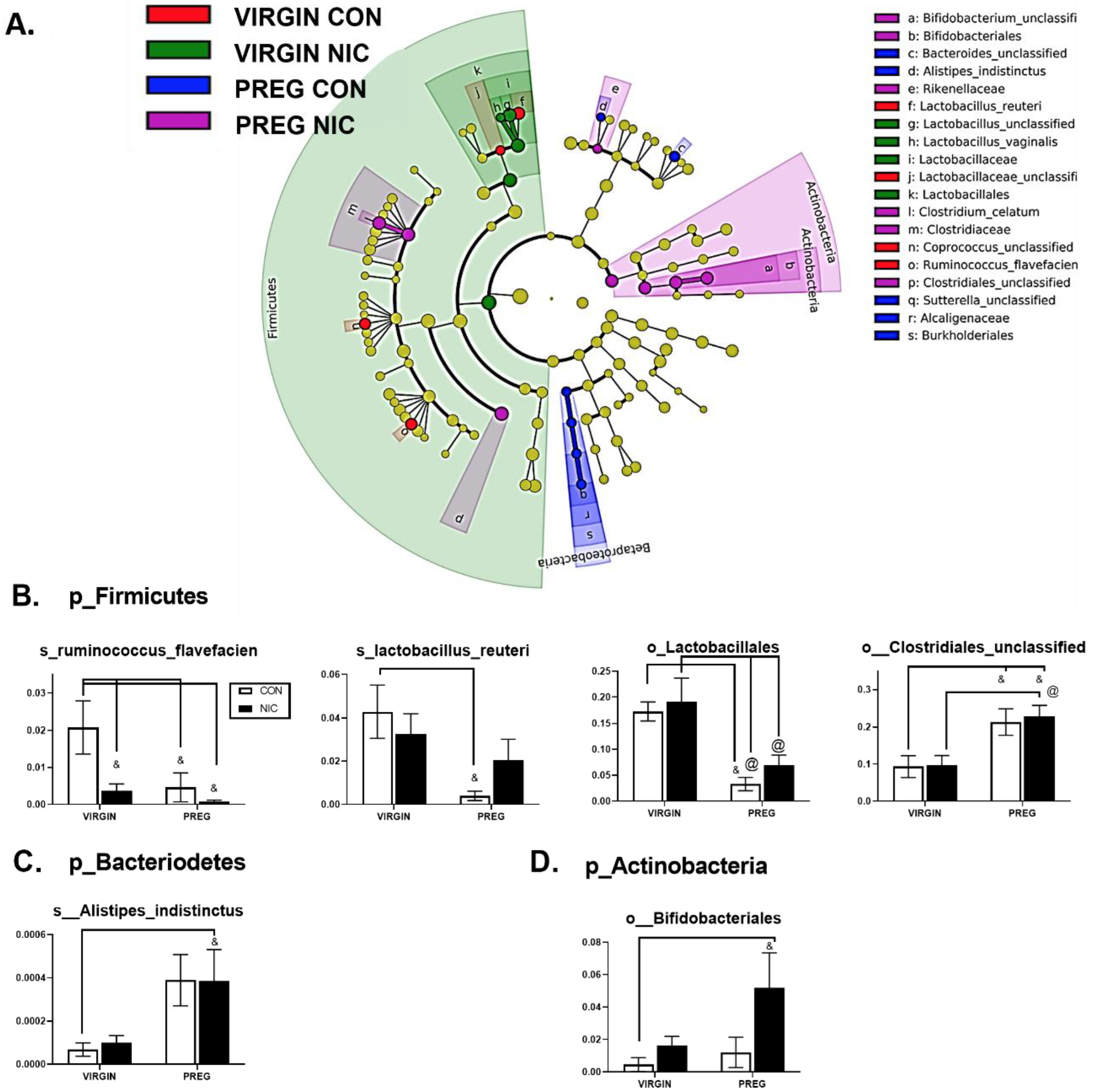 Metabolites 12 00735 g004 Metabolites 12 00735 g004