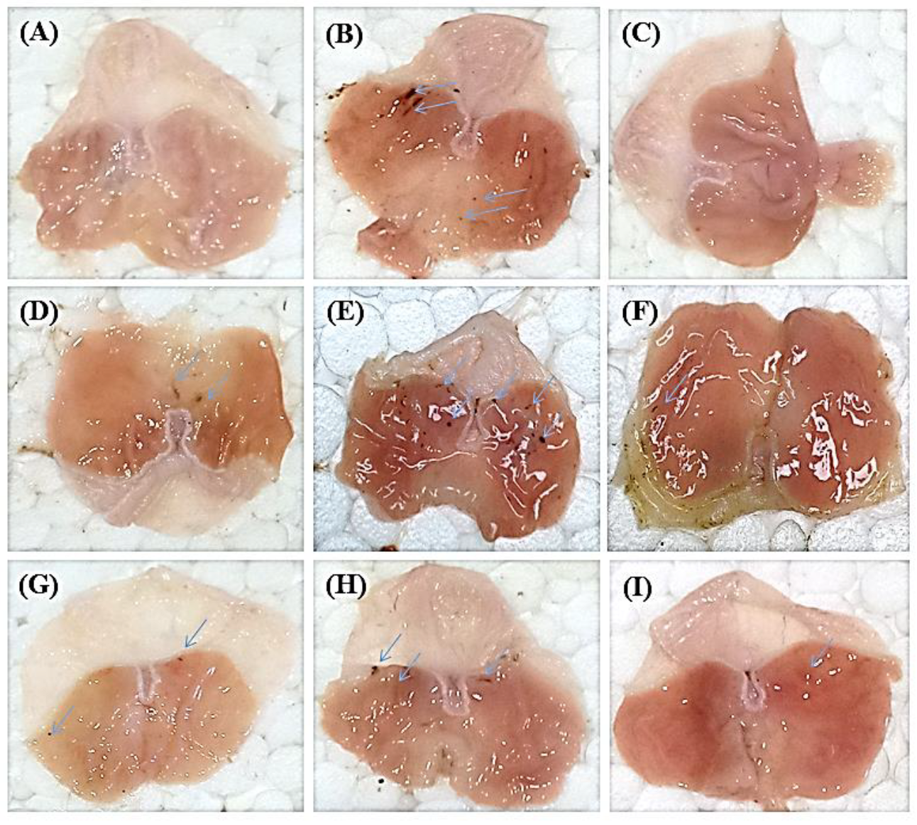 Metabolites 12 00750 g002