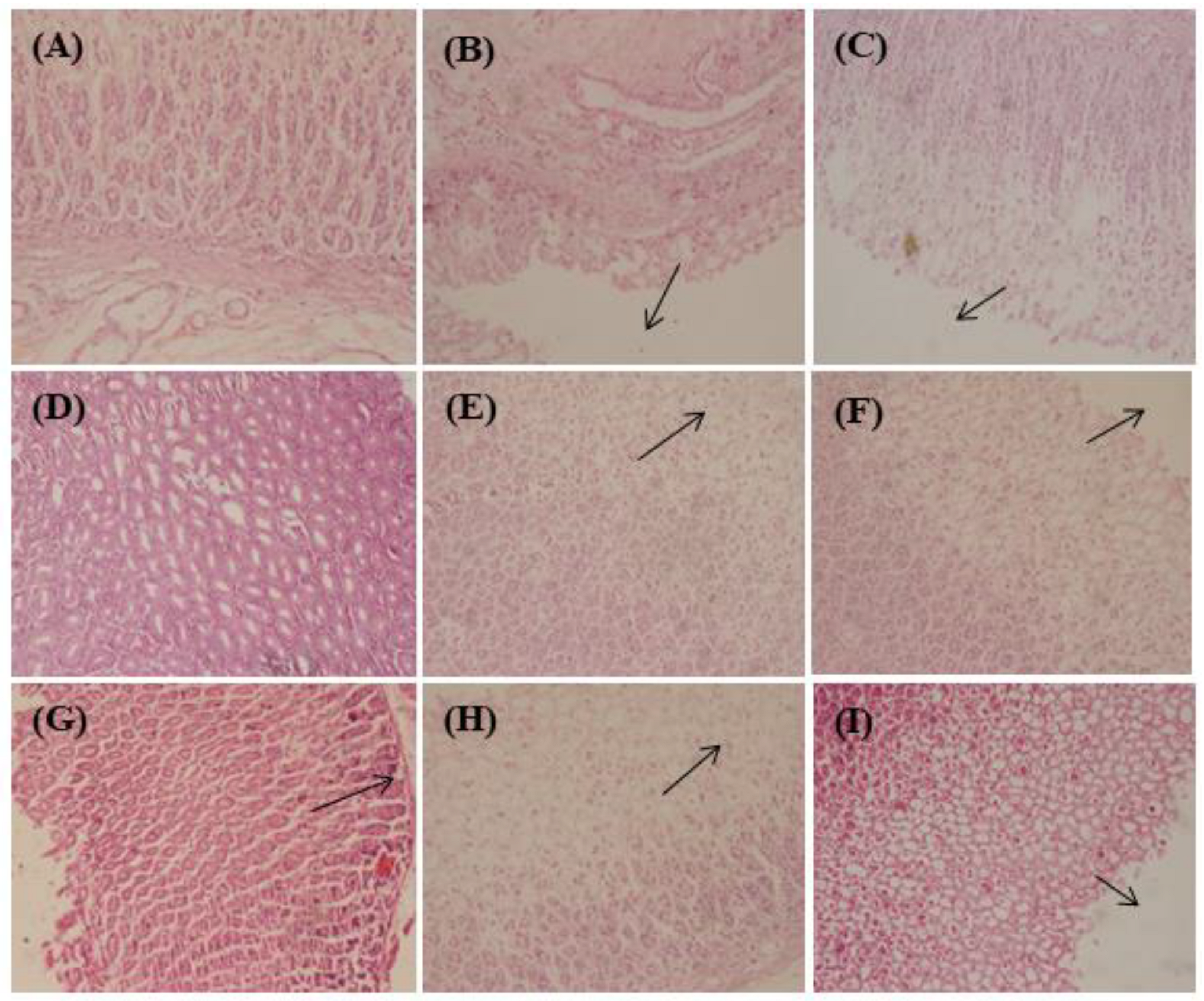 Metabolites 12 00750 g004