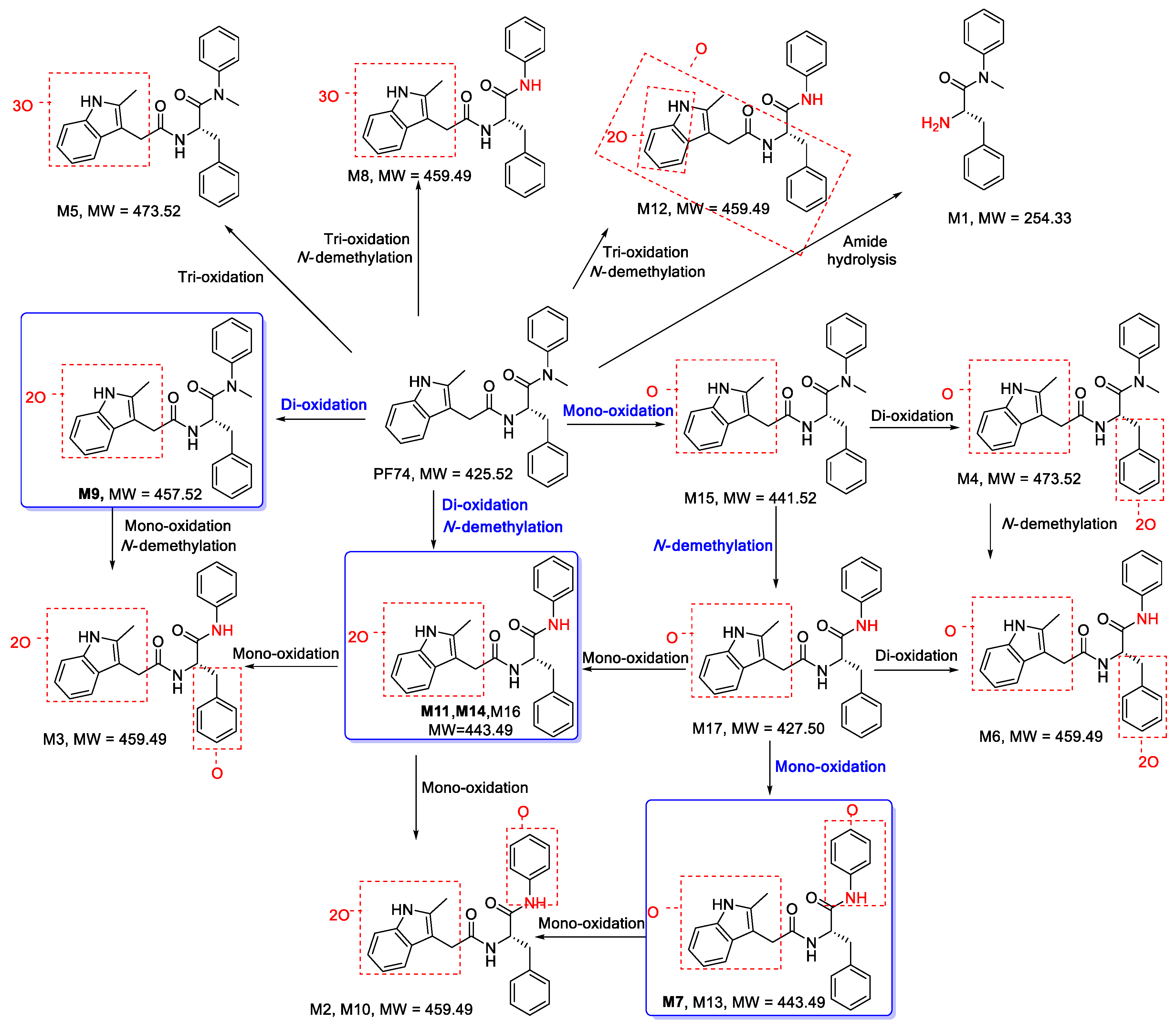Metabolites 12 00752 g005