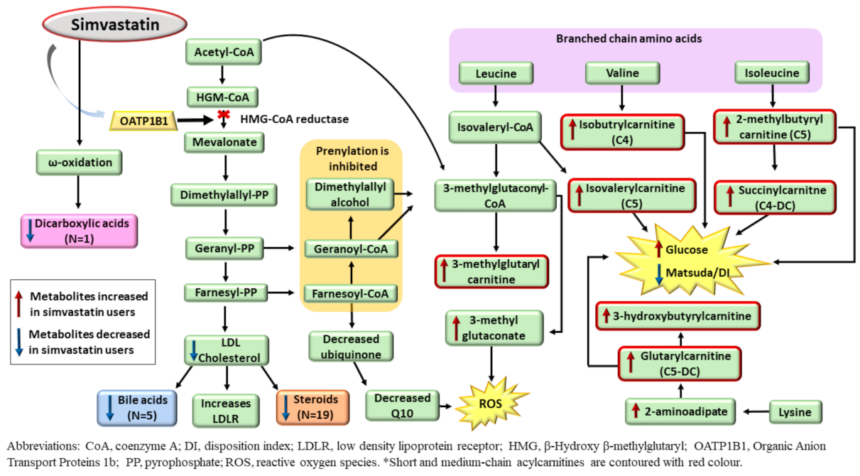 Metabolites 12 00753 g002