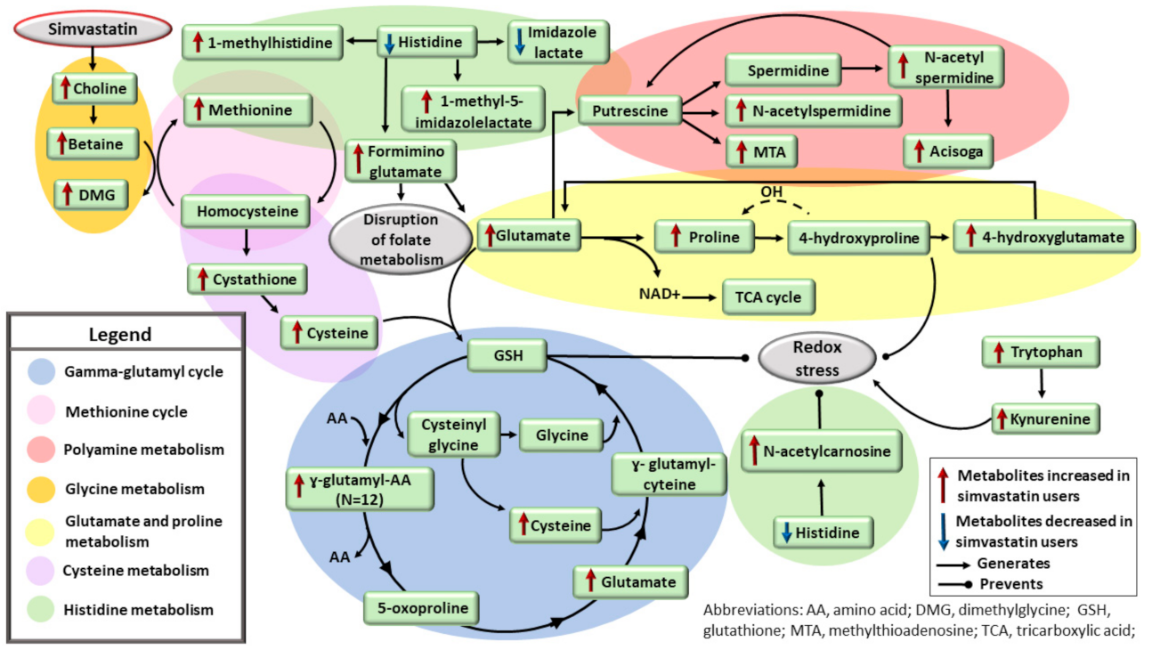 Metabolites 12 00753 g004
