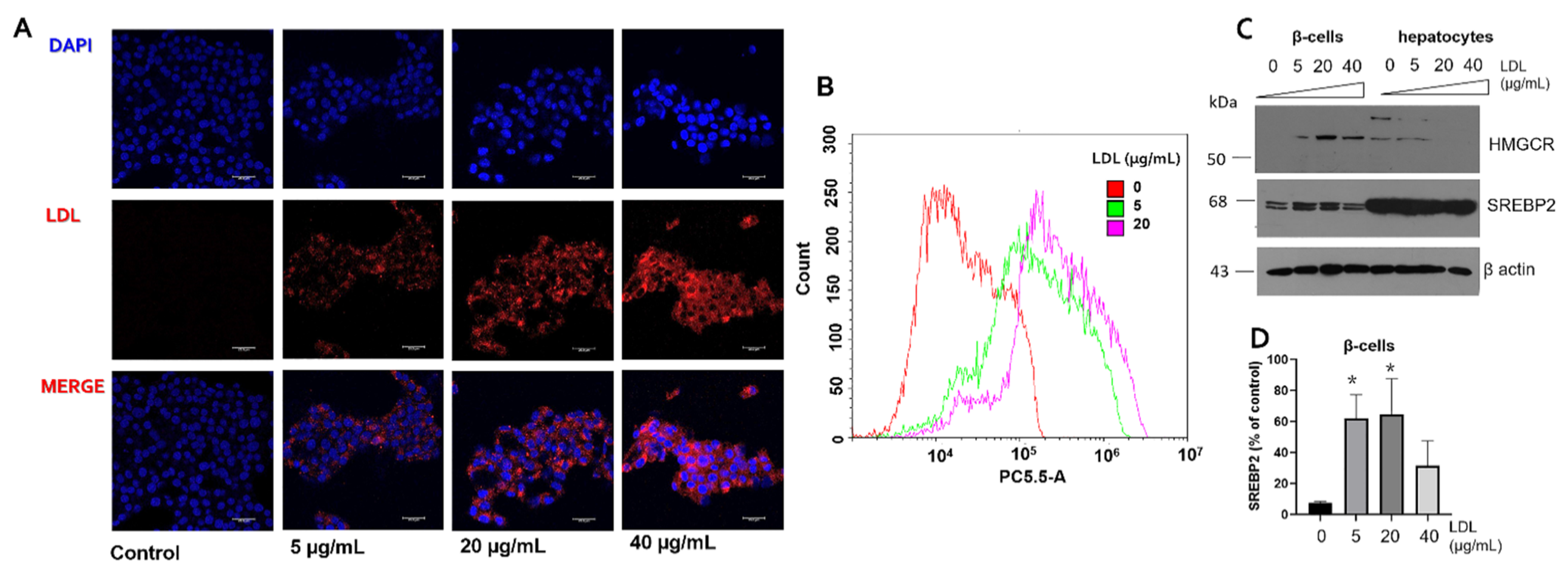 Metabolites 12 00754 g001