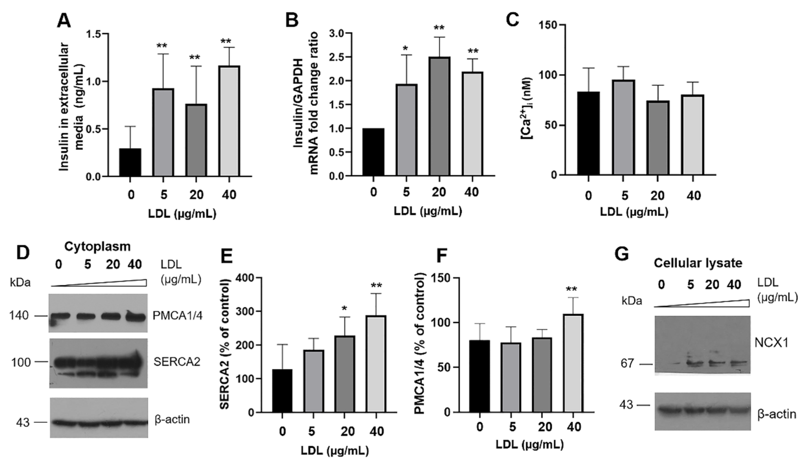 Metabolites 12 00754 g002