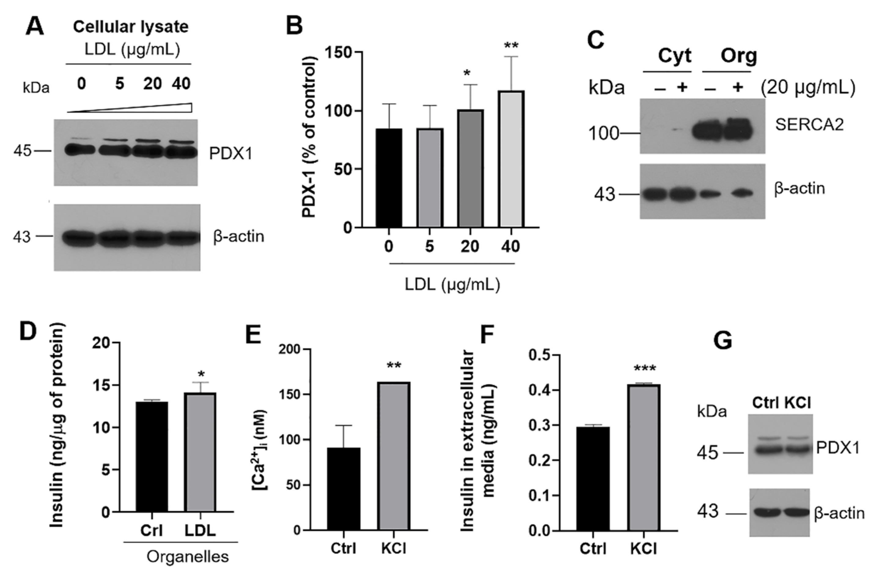 Metabolites 12 00754 g003