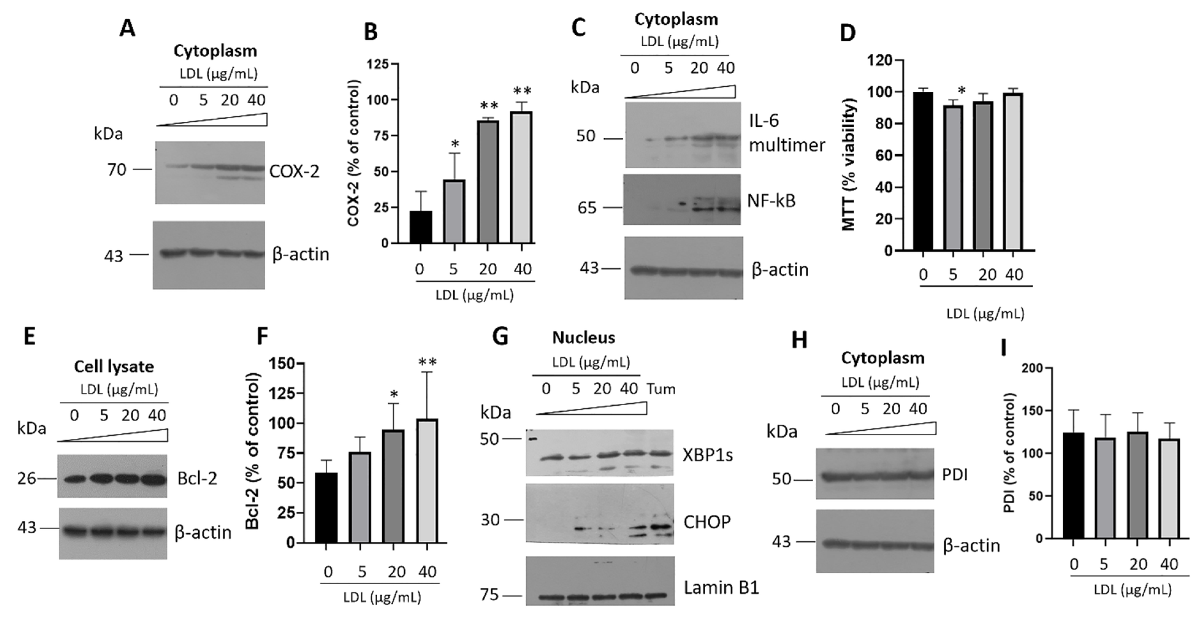 Metabolites 12 00754 g004