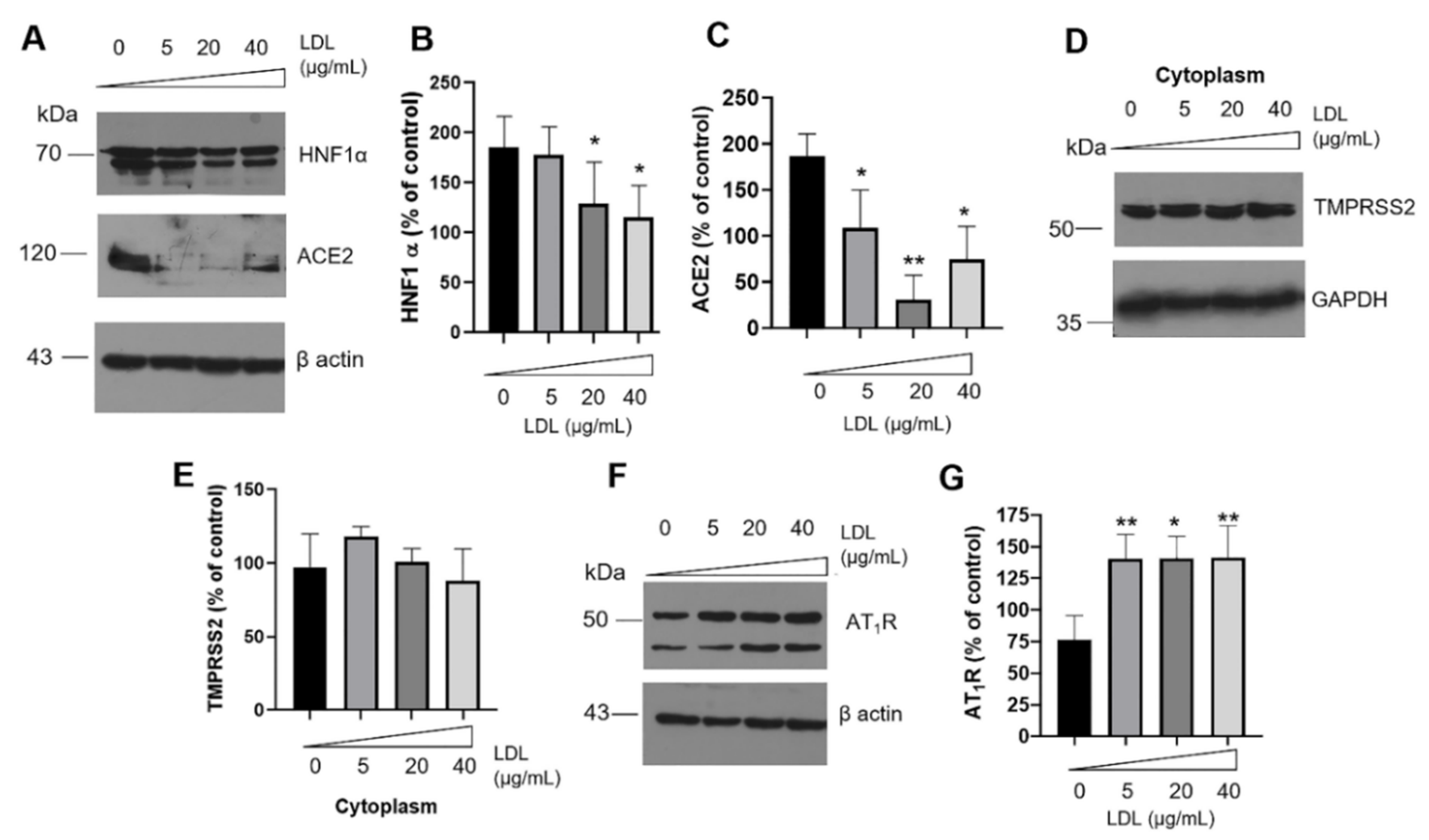 Metabolites 12 00754 g005