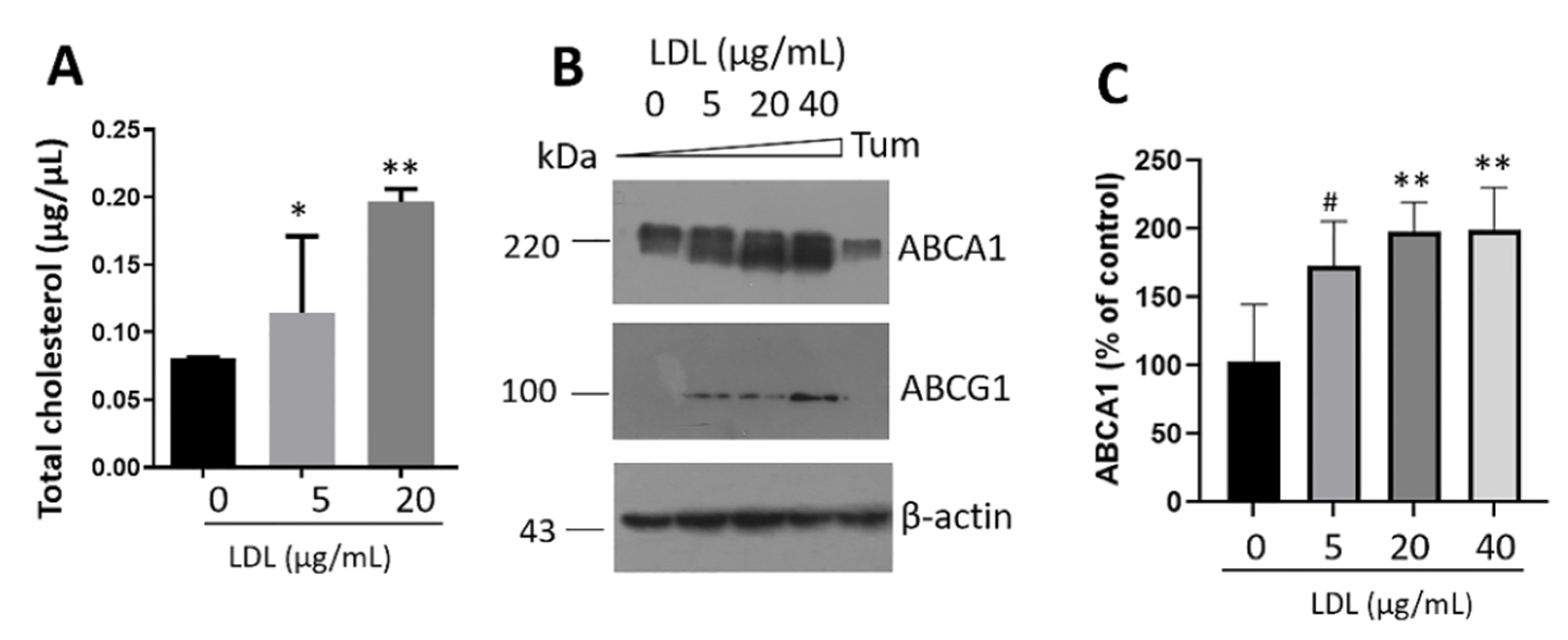 Metabolites 12 00754 g006