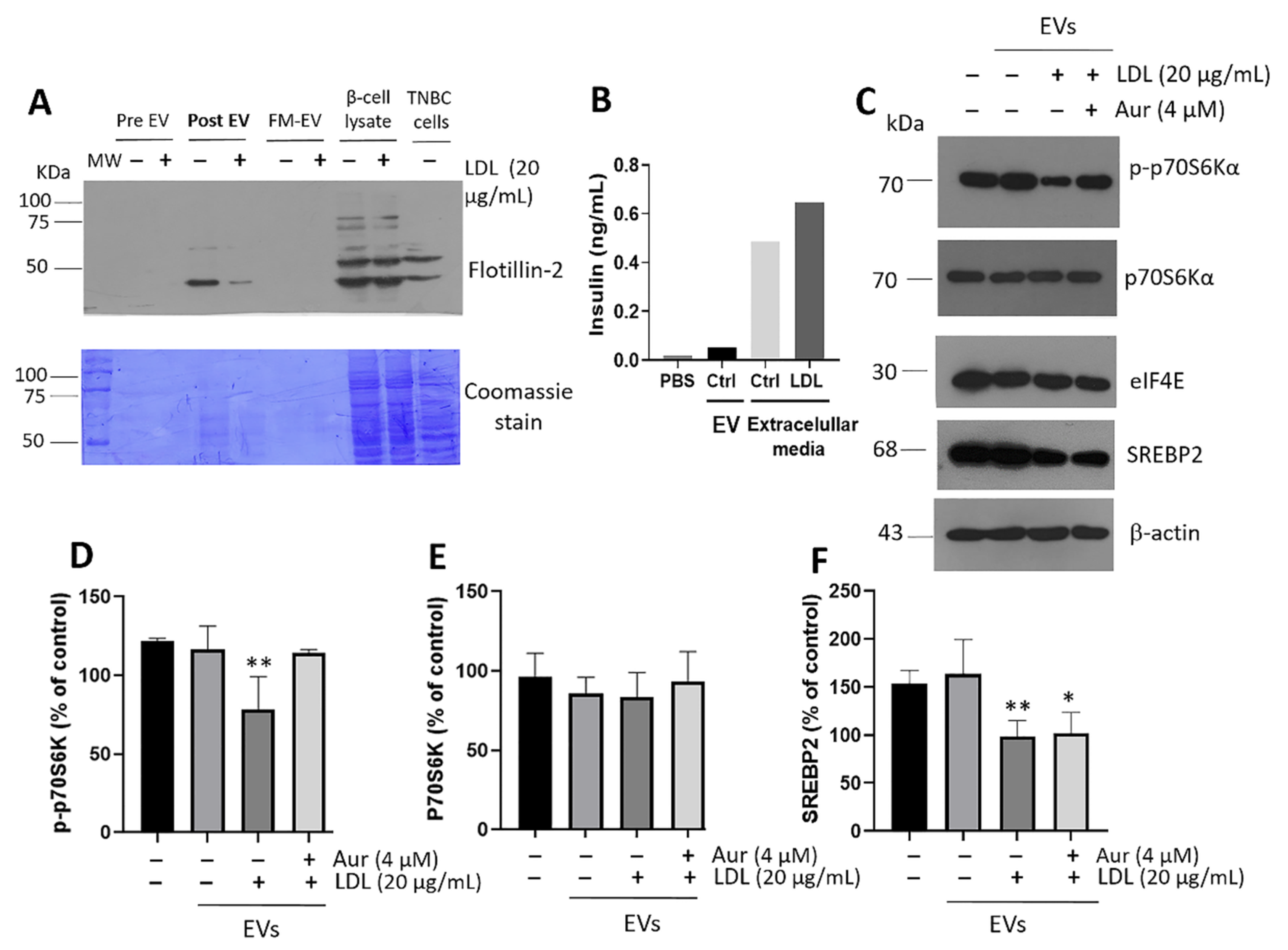 Metabolites 12 00754 g008