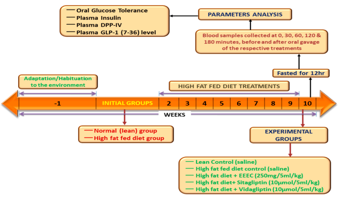 Metabolites 12 00757 g001