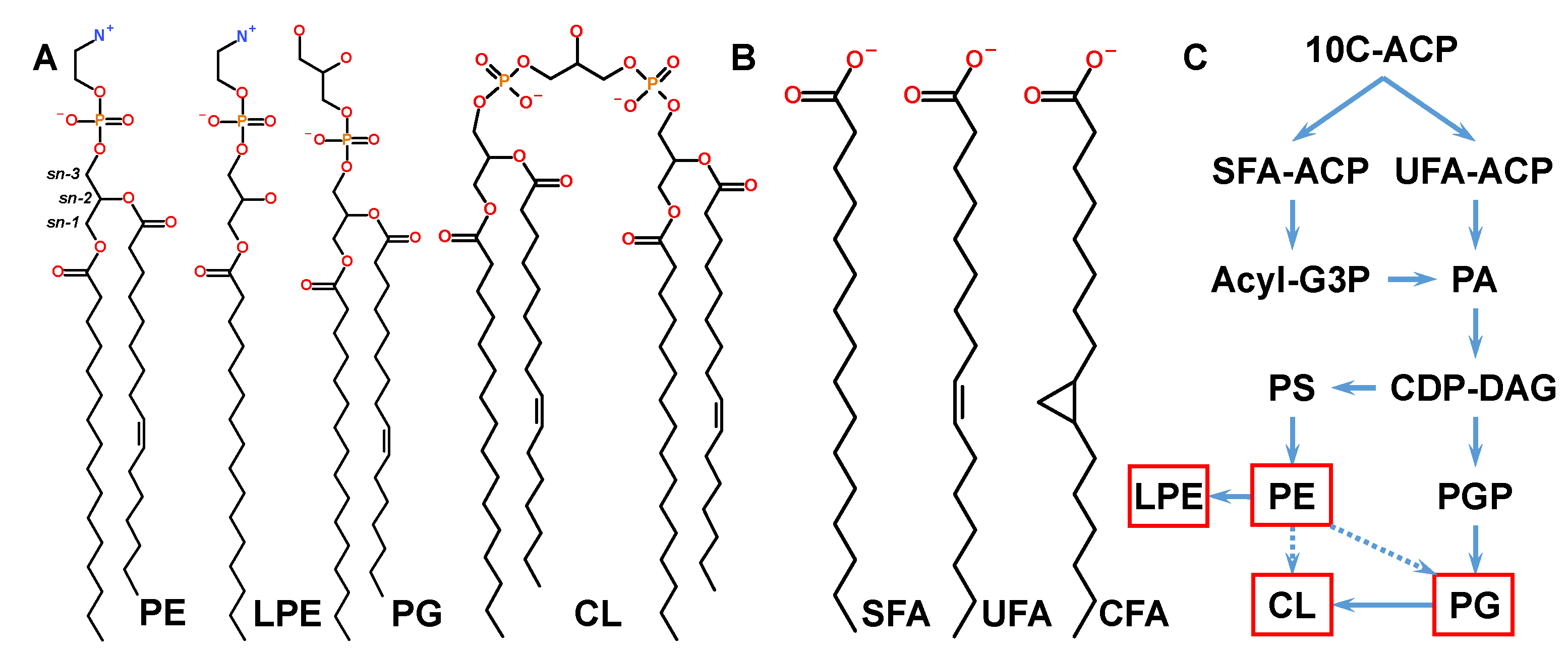 Metabolites 12 00784 g001