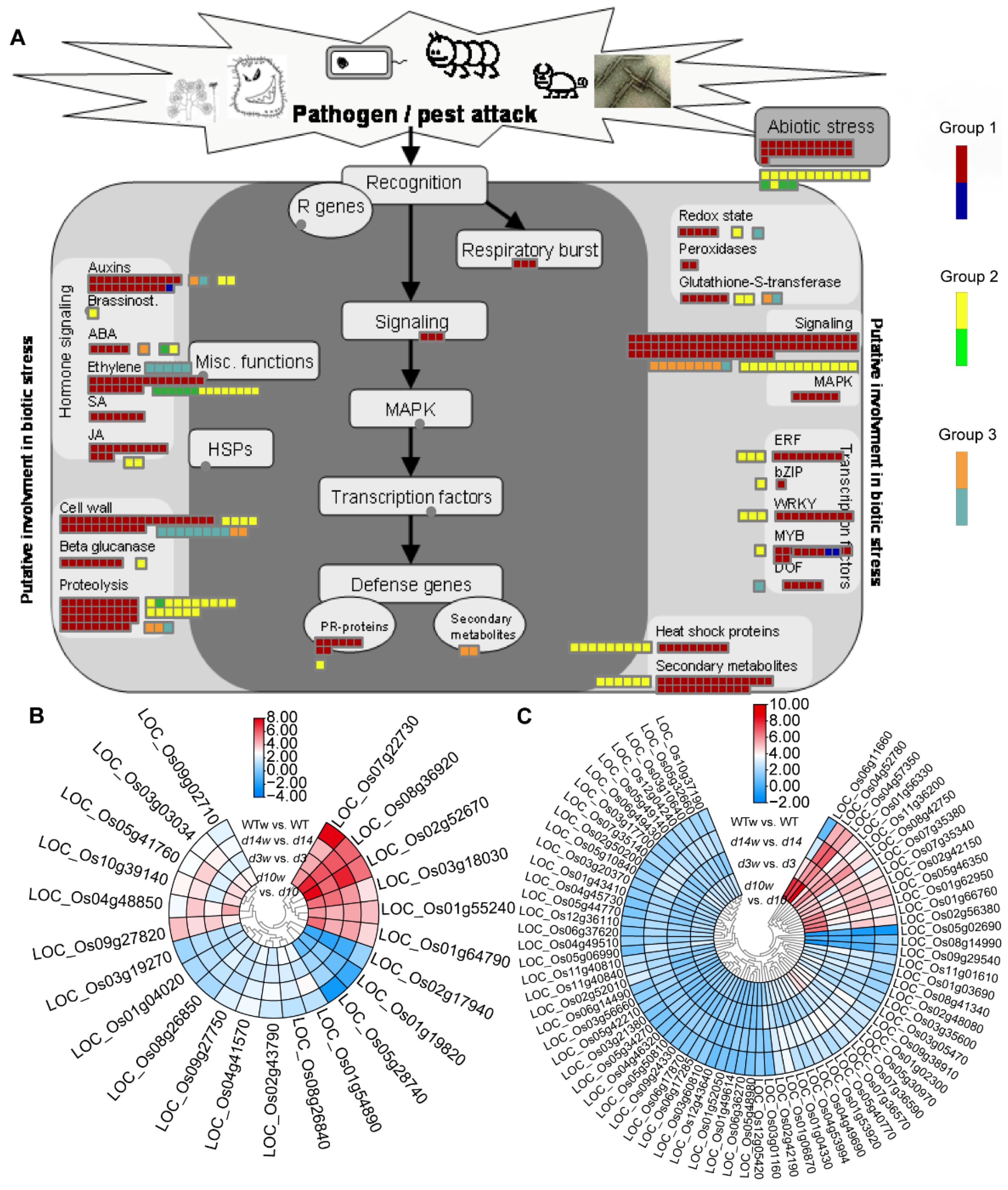 Metabolites 12 00789 g007