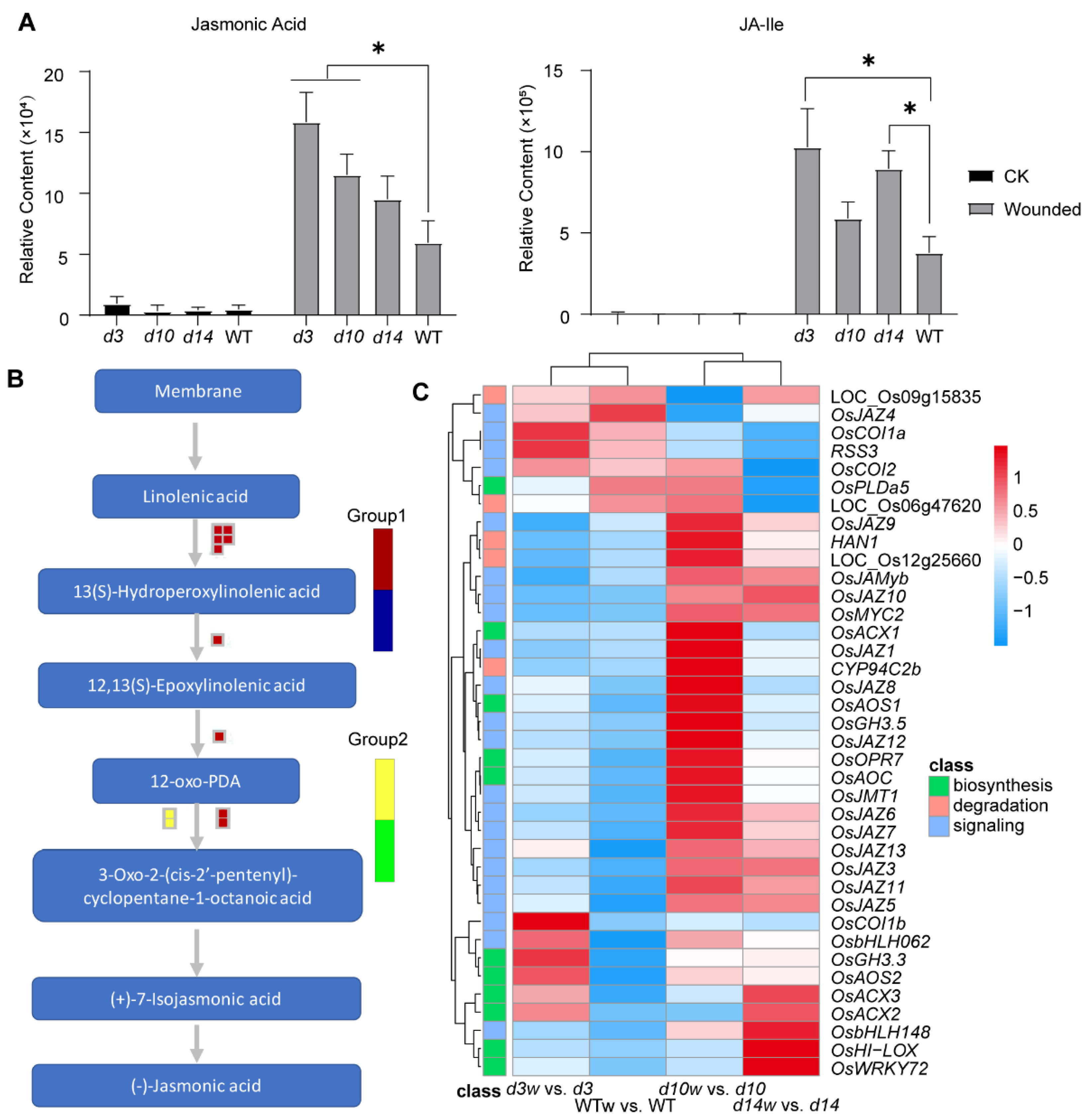 Metabolites 12 00789 g008