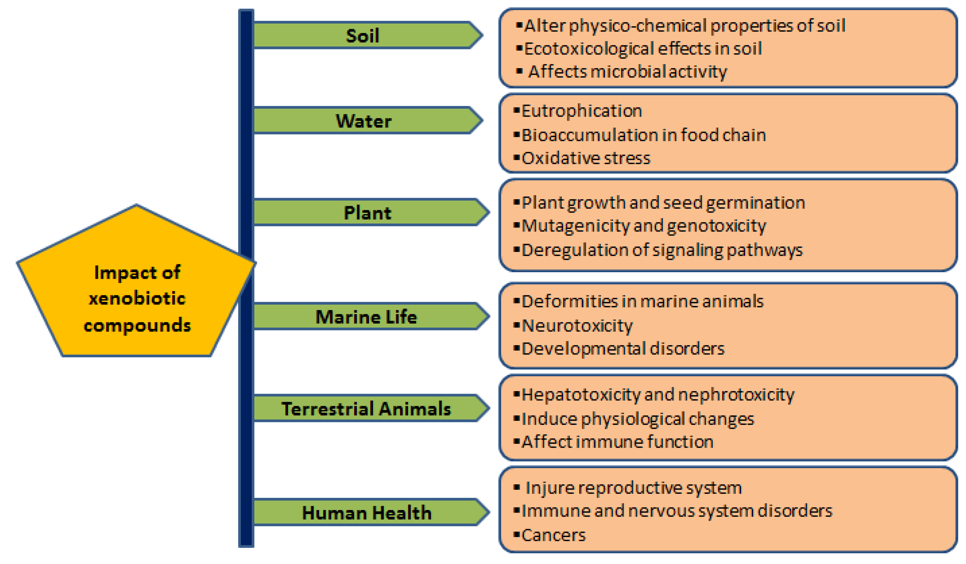Metabolites 12 00818 g001