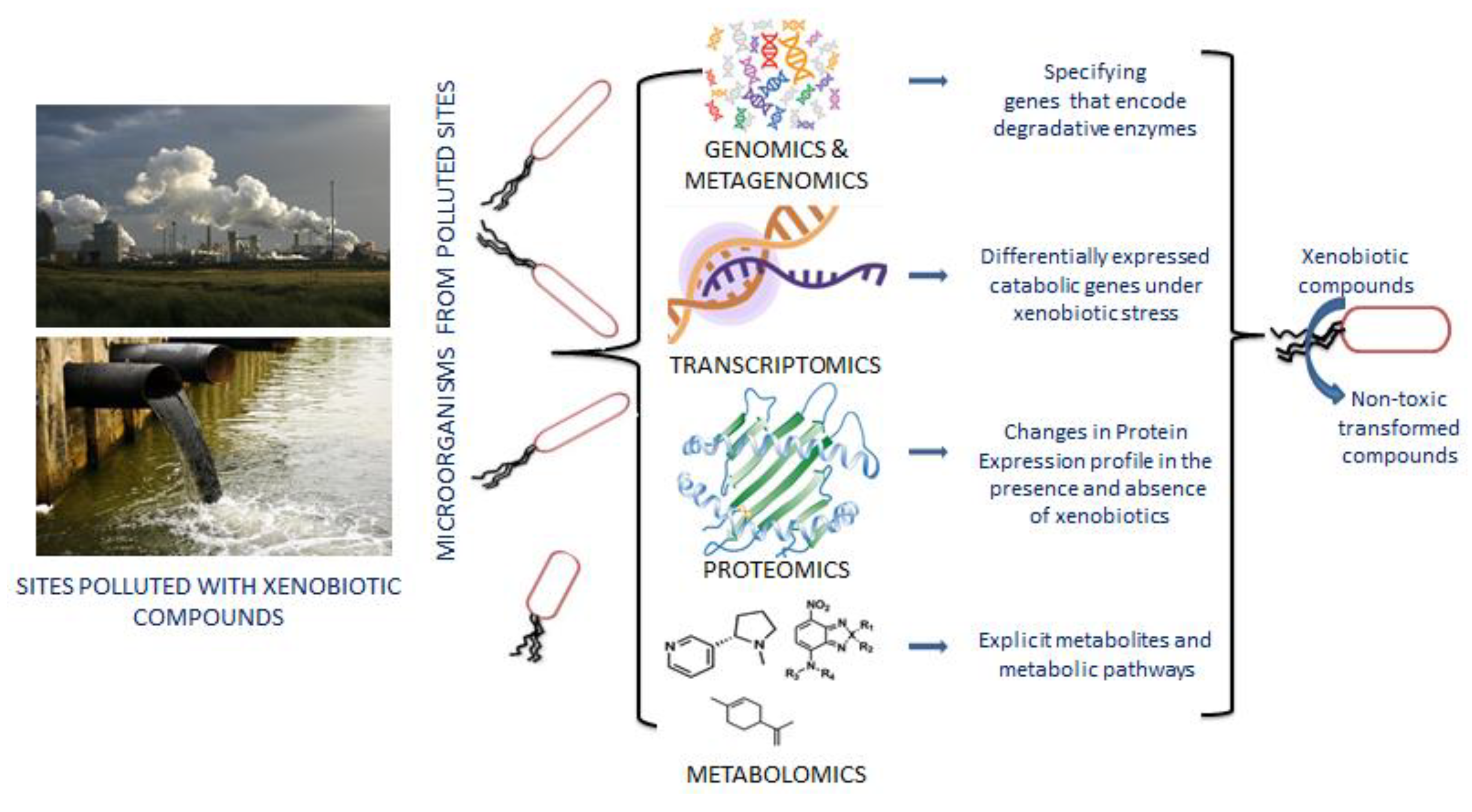 Metabolites 12 00818 g002