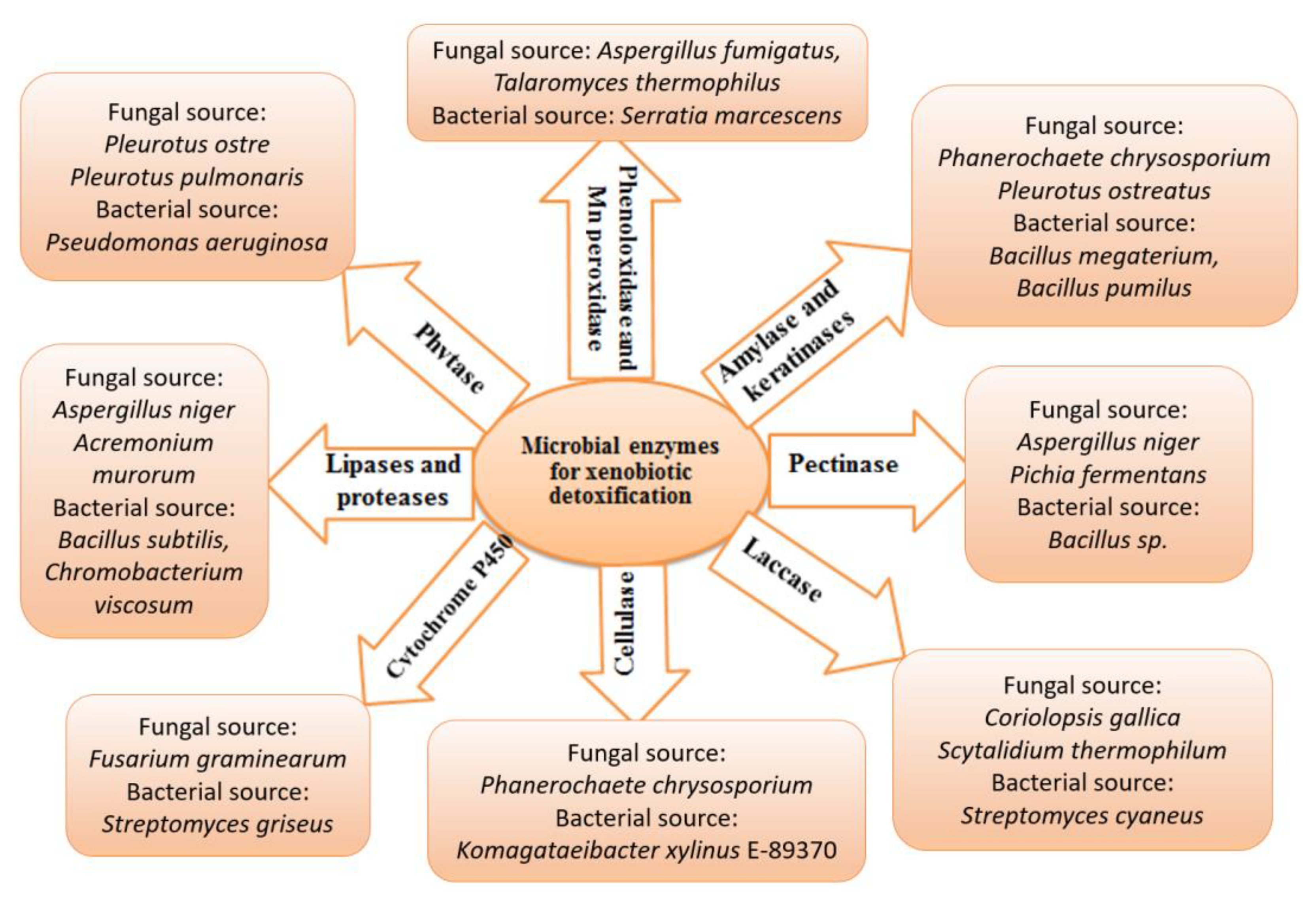 Metabolites 12 00818 g004