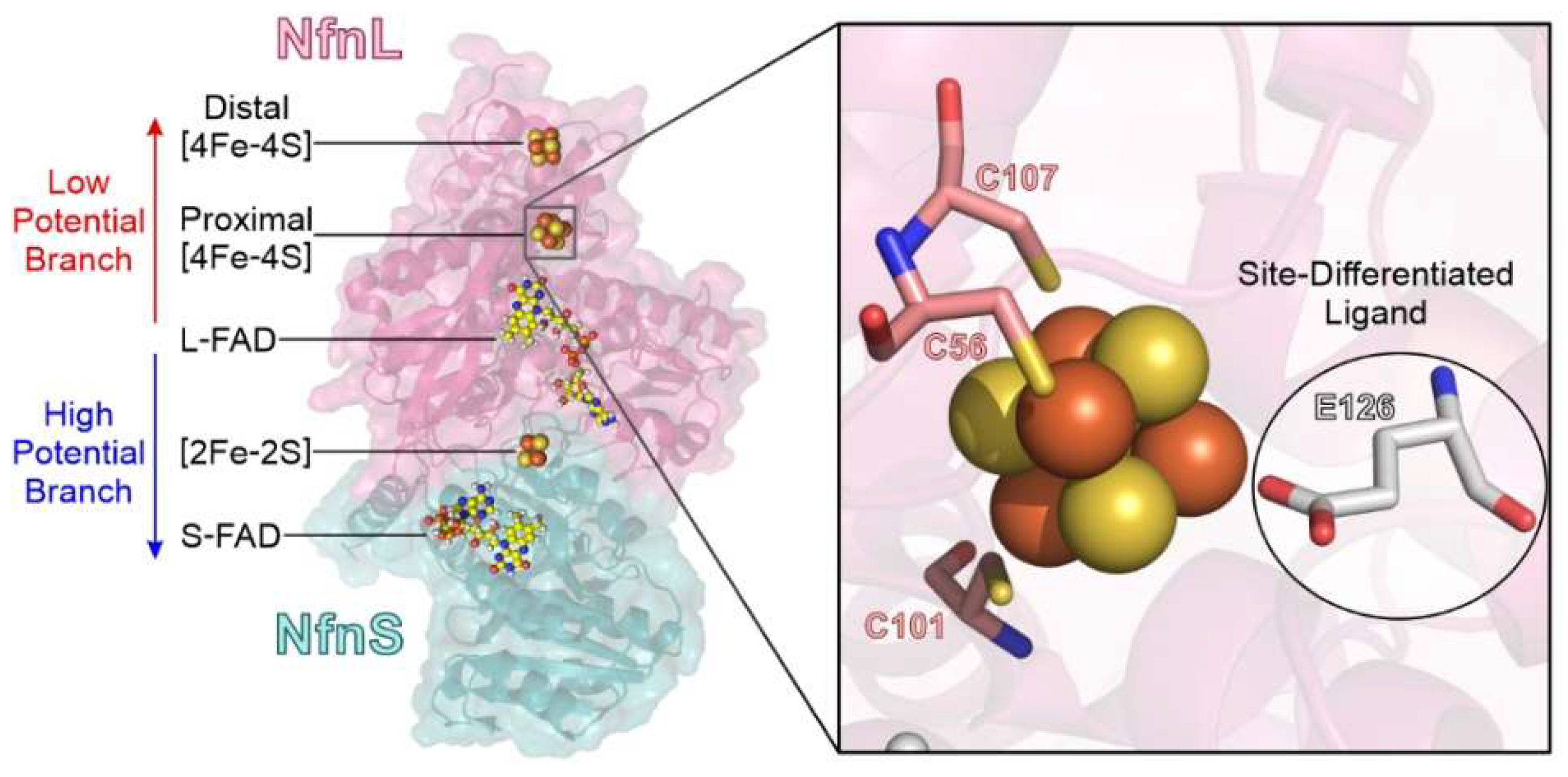 Metabolites 12 00823 g001