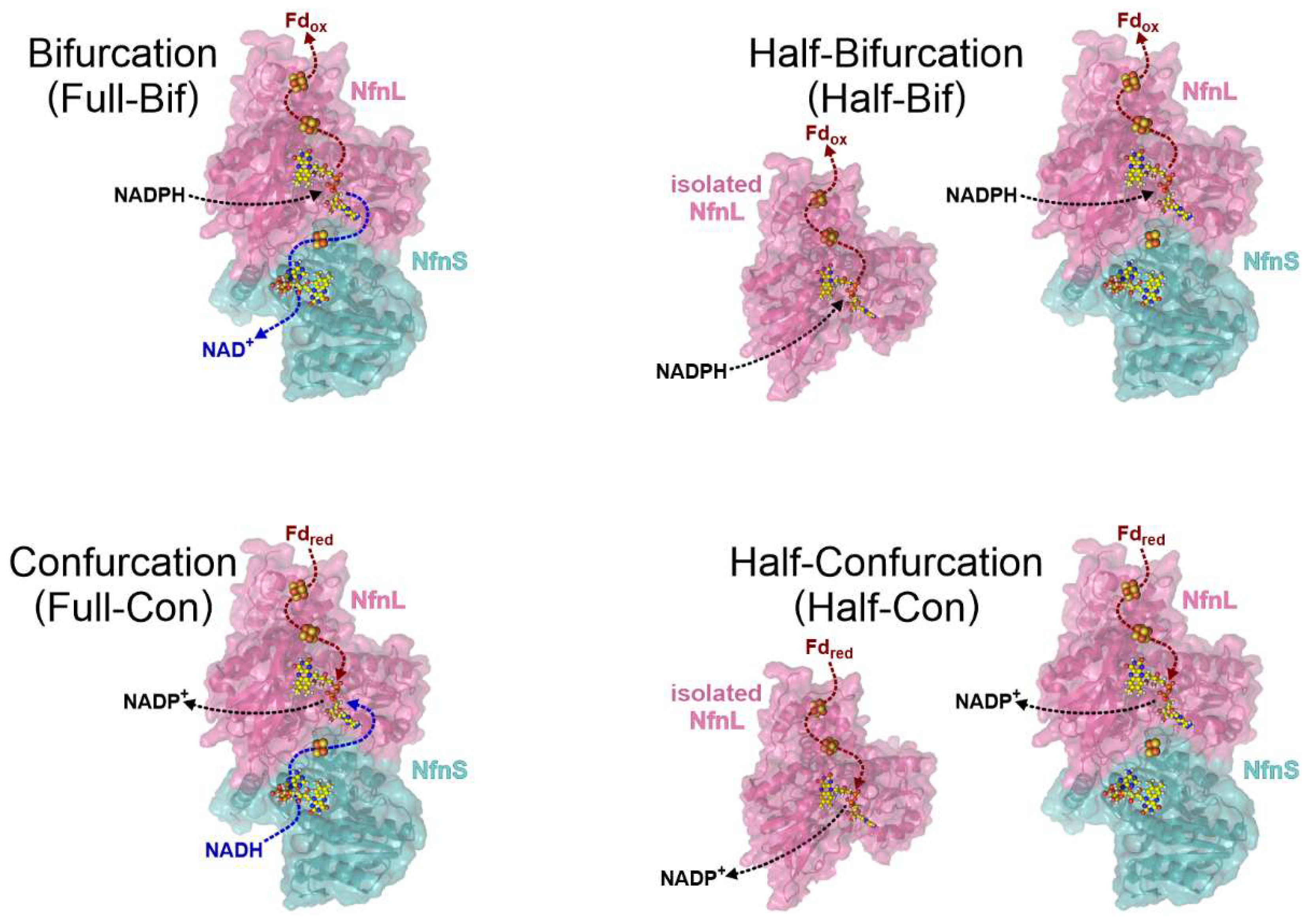 Metabolites 12 00823 g002