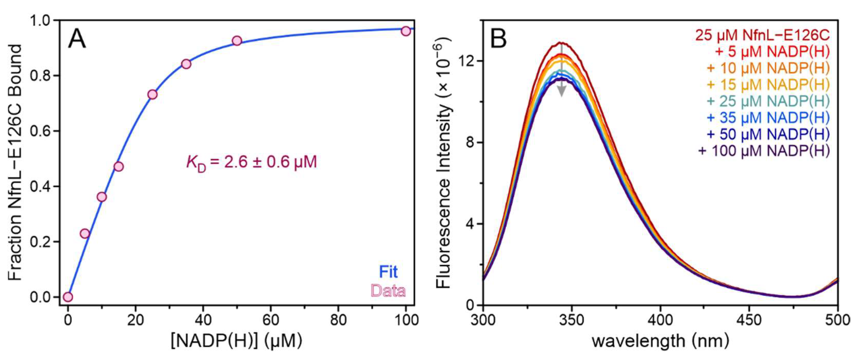 Metabolites 12 00823 g003